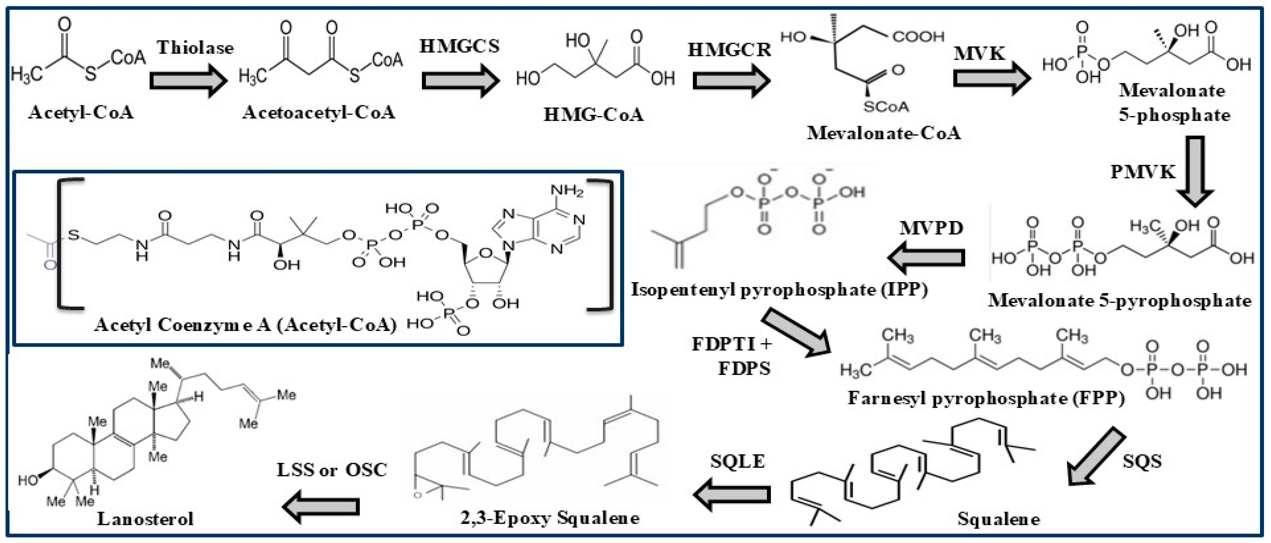 Biomolecules 15 00468 g001