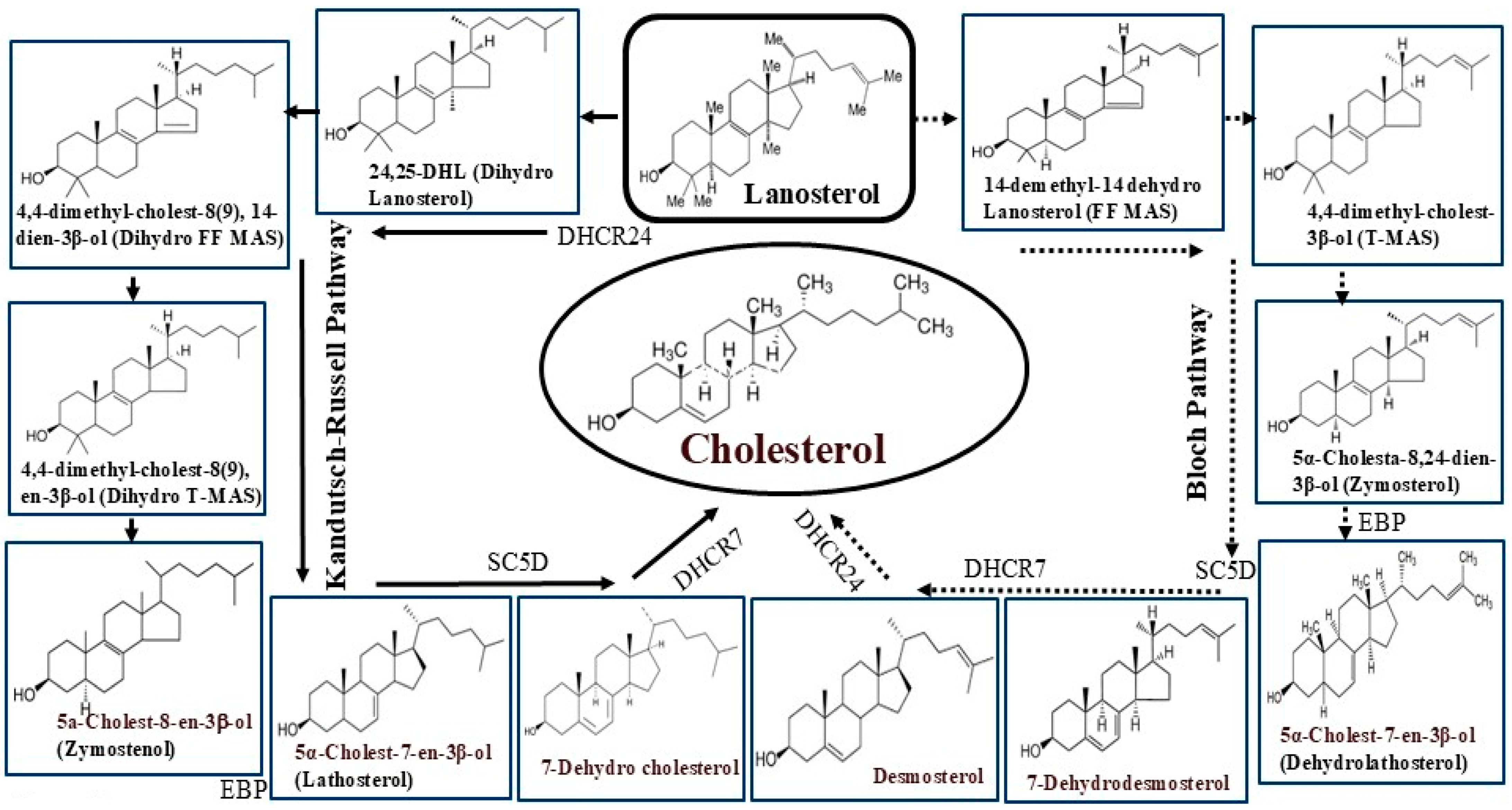 Biomolecules 15 00468 g002