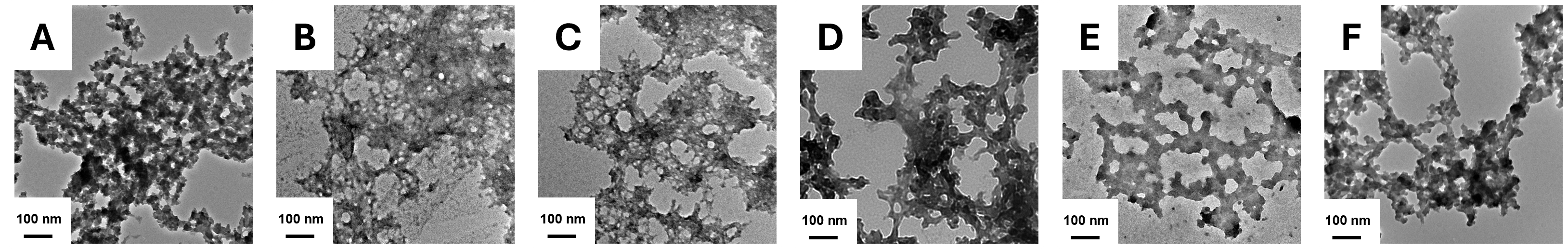 Biomolecules 15 00475 g007