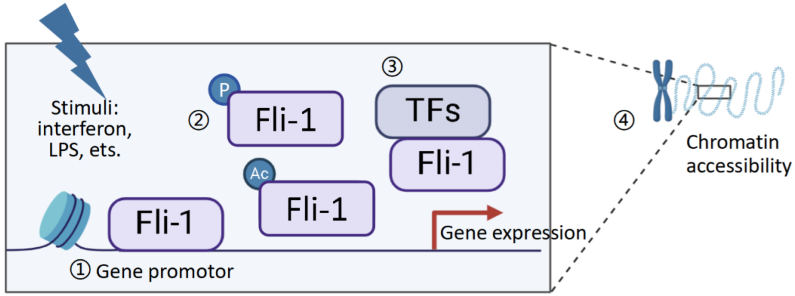 Biomolecules 15 00480 g002