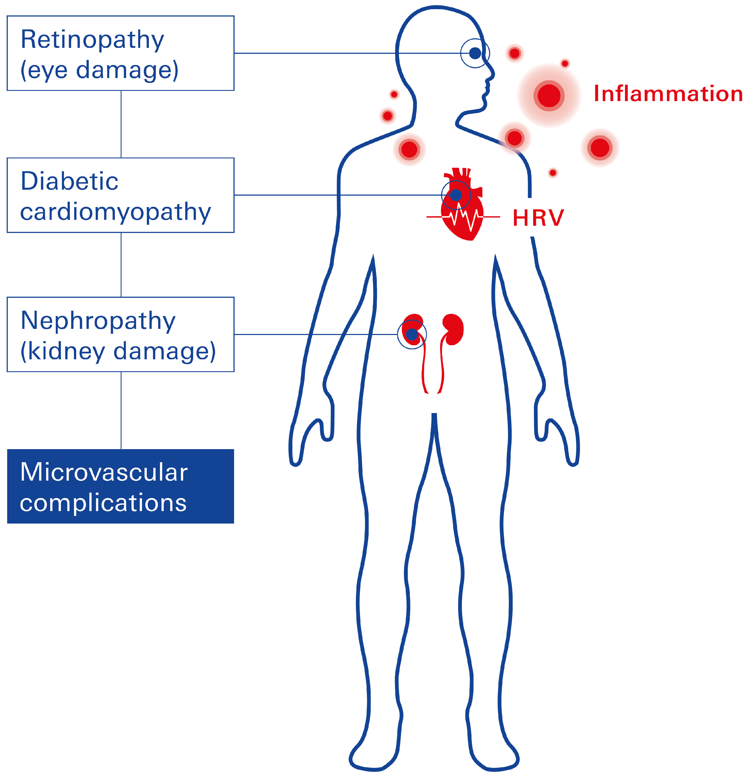 Biomolecules 15 00499 g002