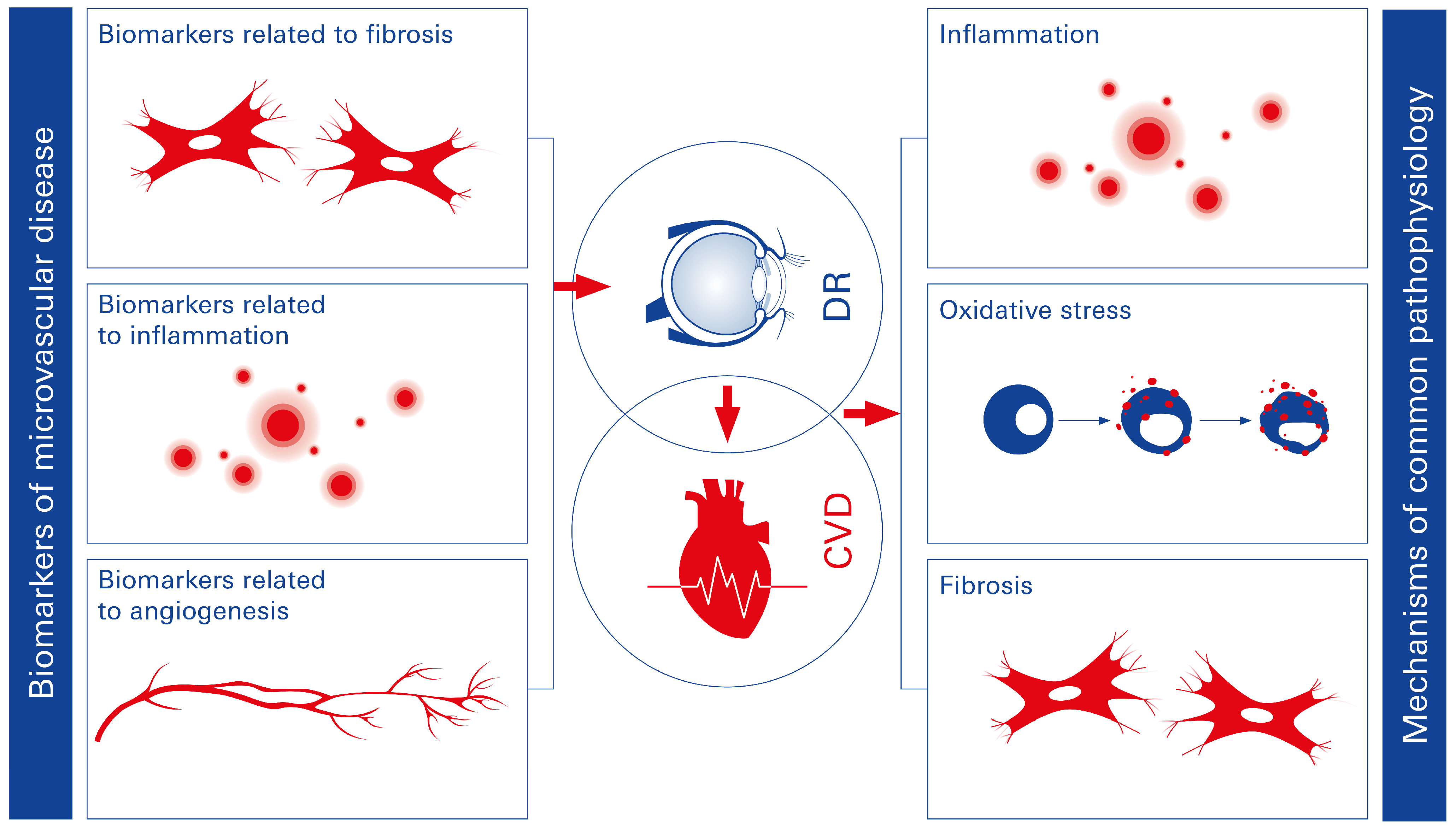Biomolecules 15 00499 g003