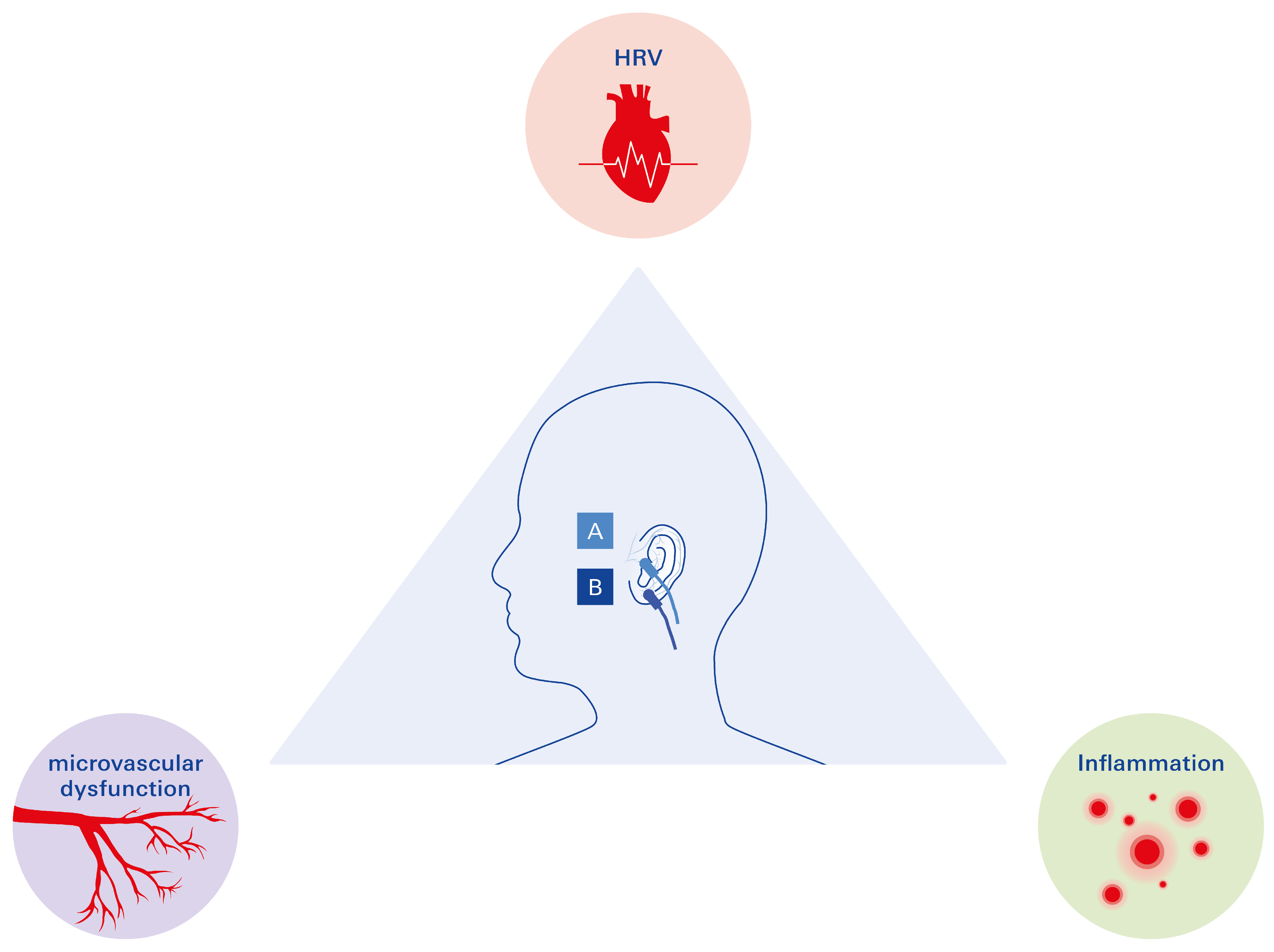 Biomolecules 15 00499 g006
