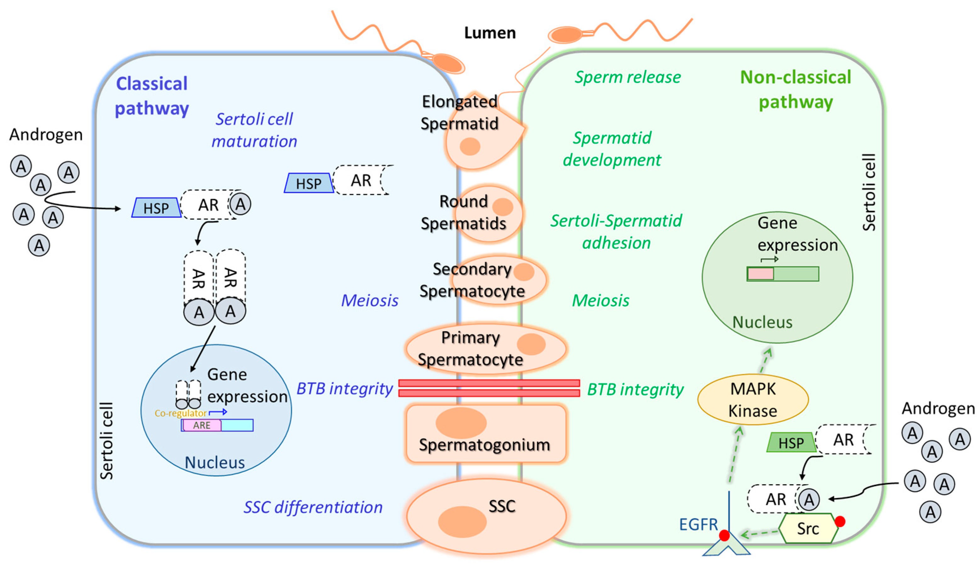 Biomolecules 15 00500 g003
