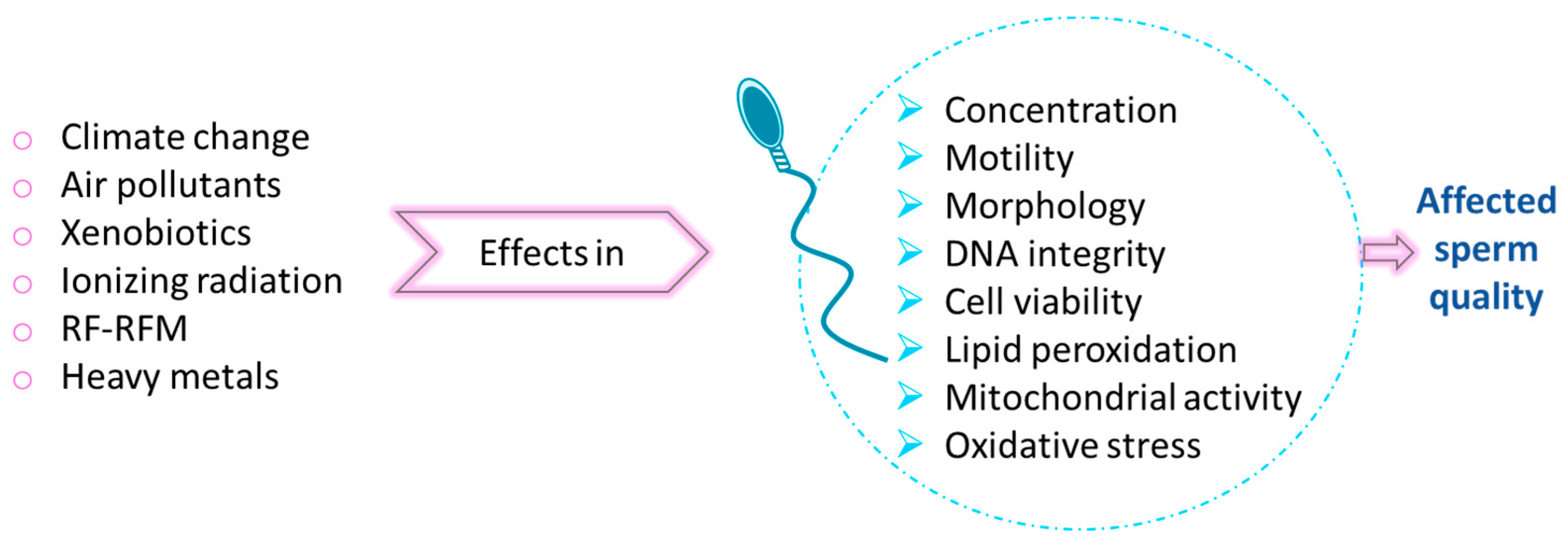 Biomolecules 15 00500 g006