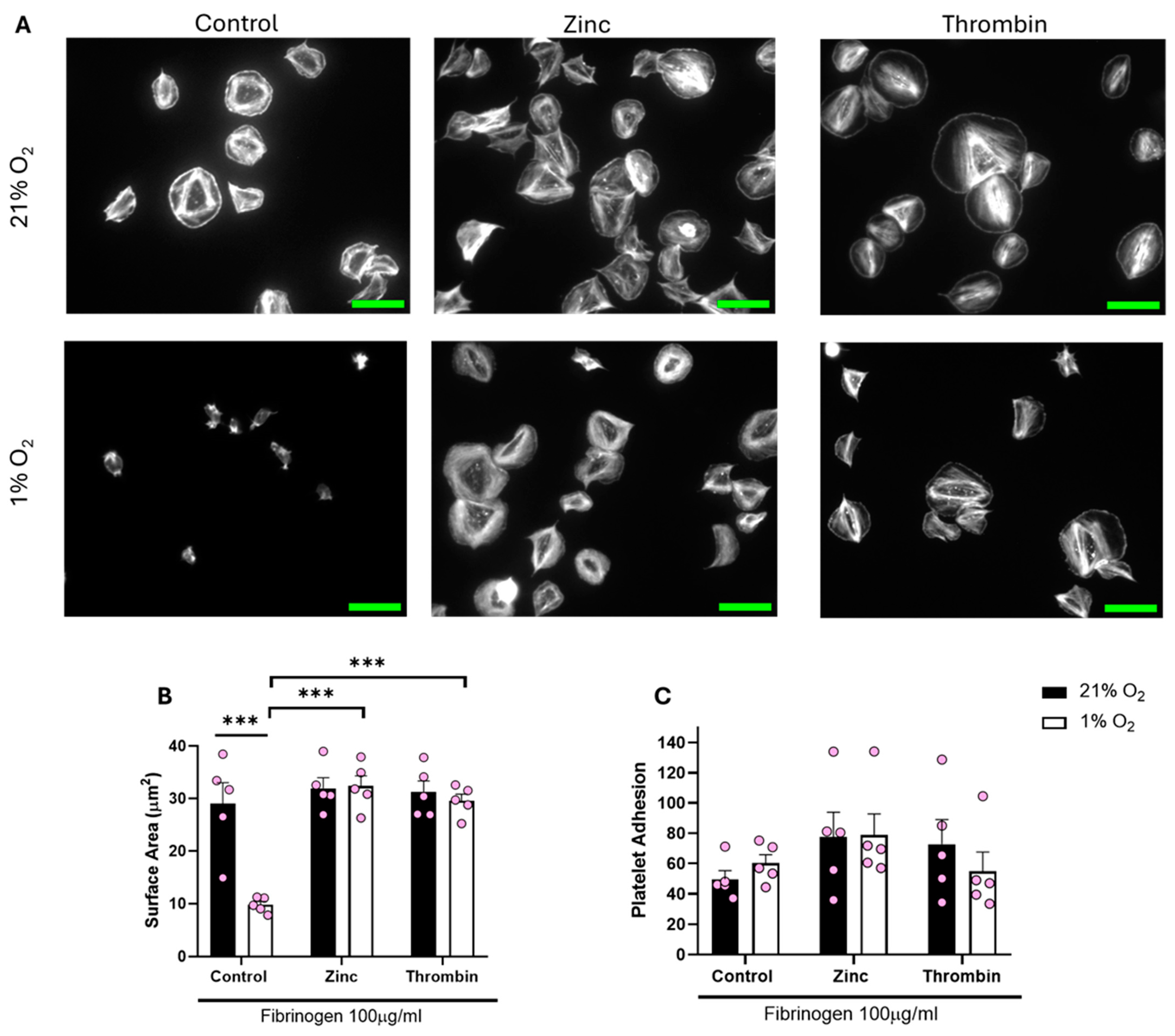 Biomolecules 15 00501 g004