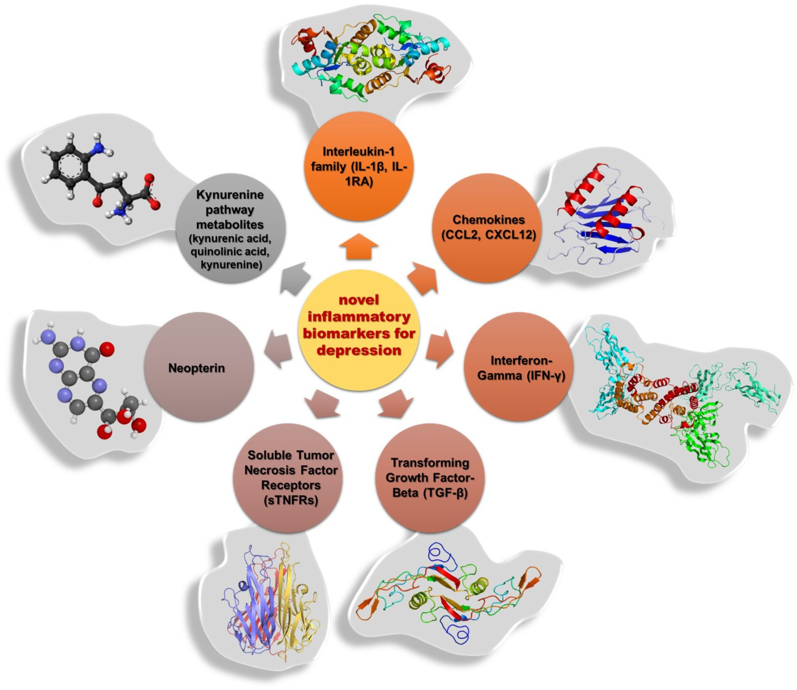 Biomolecules 15 00502 g004