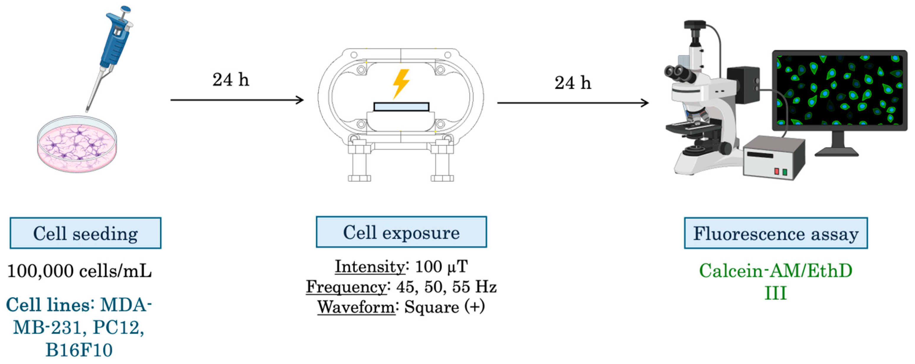Biomolecules 15 00503 g005