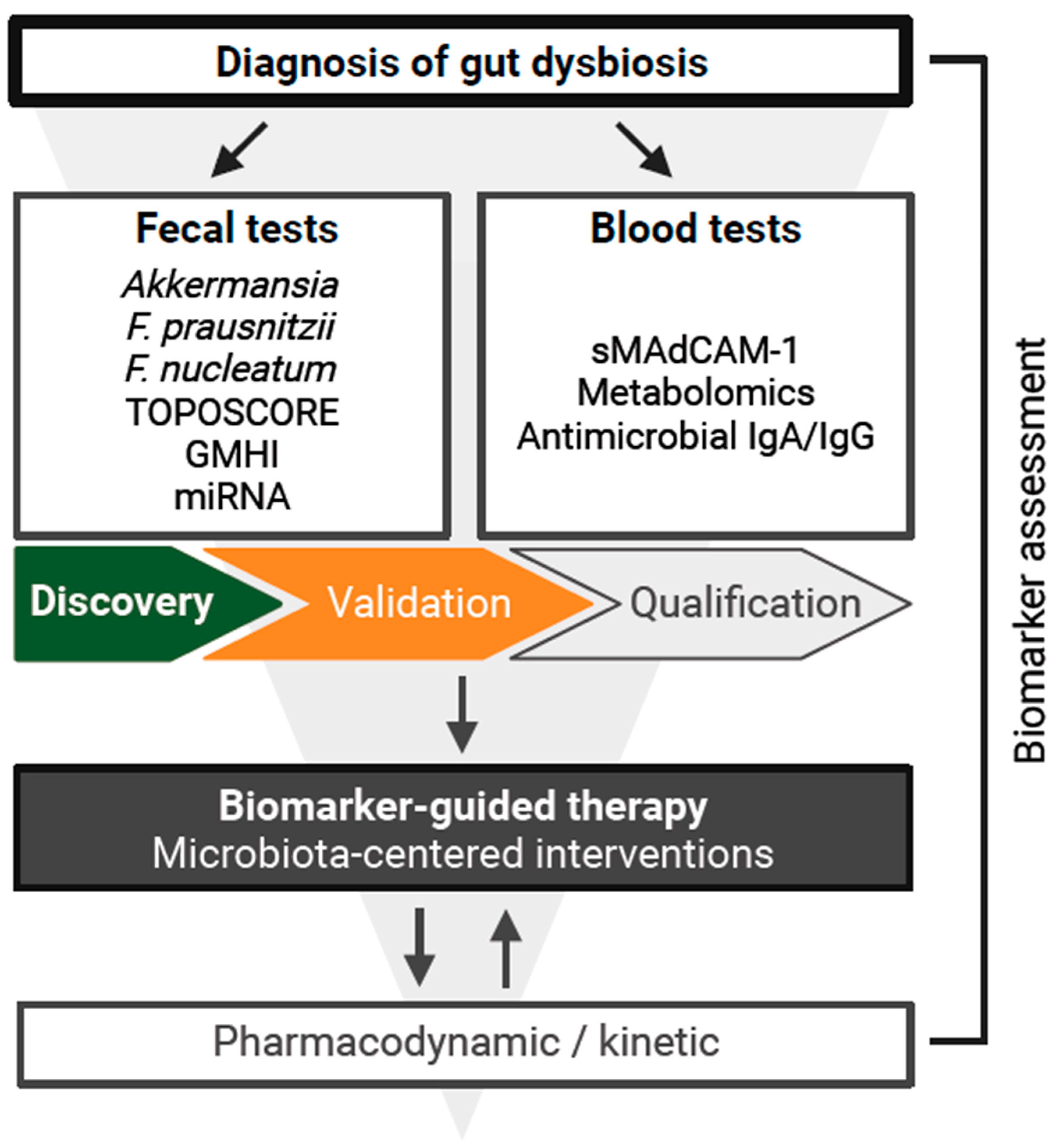 Biomolecules 15 00504 g001