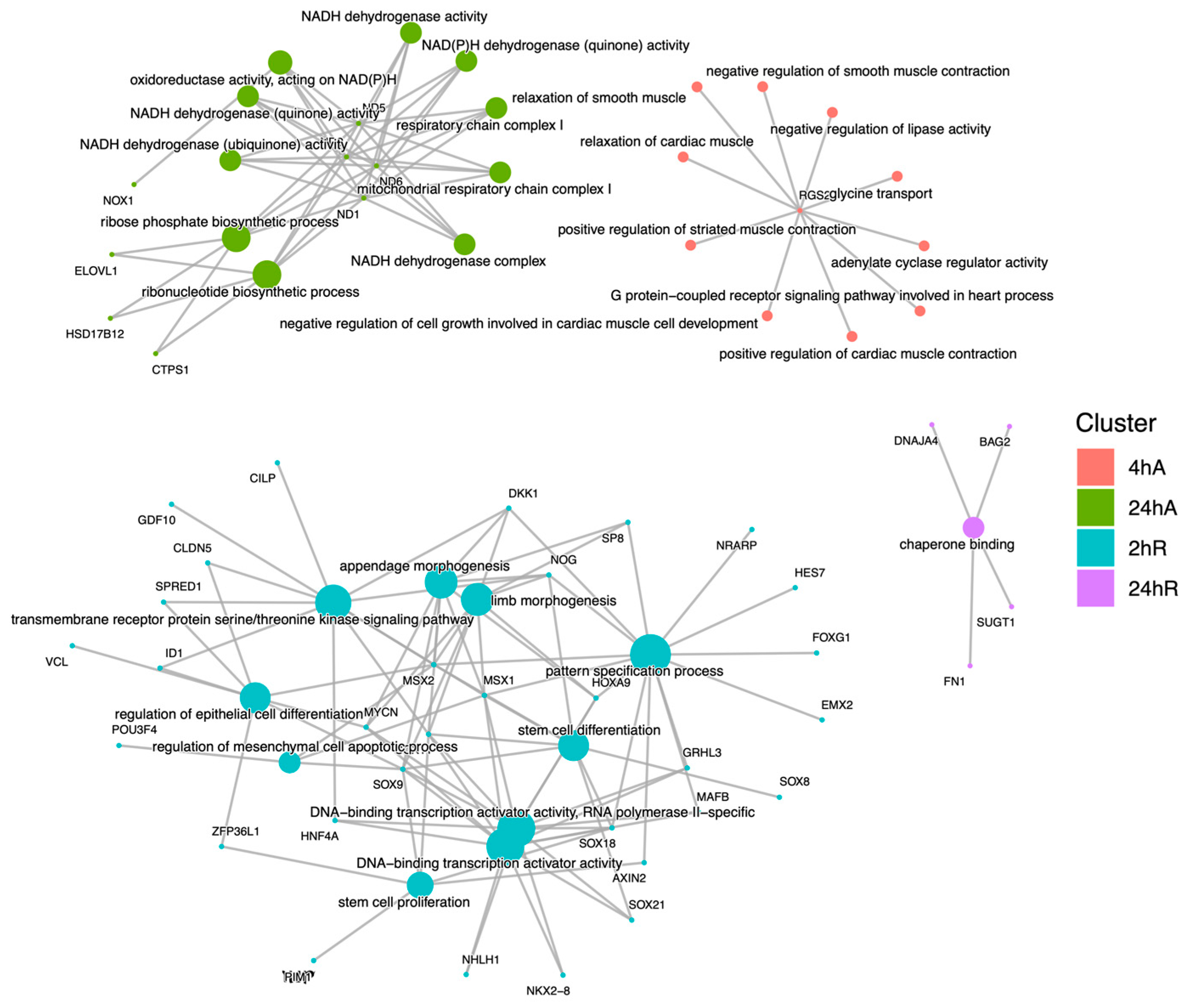 Biomolecules 15 00515 g010