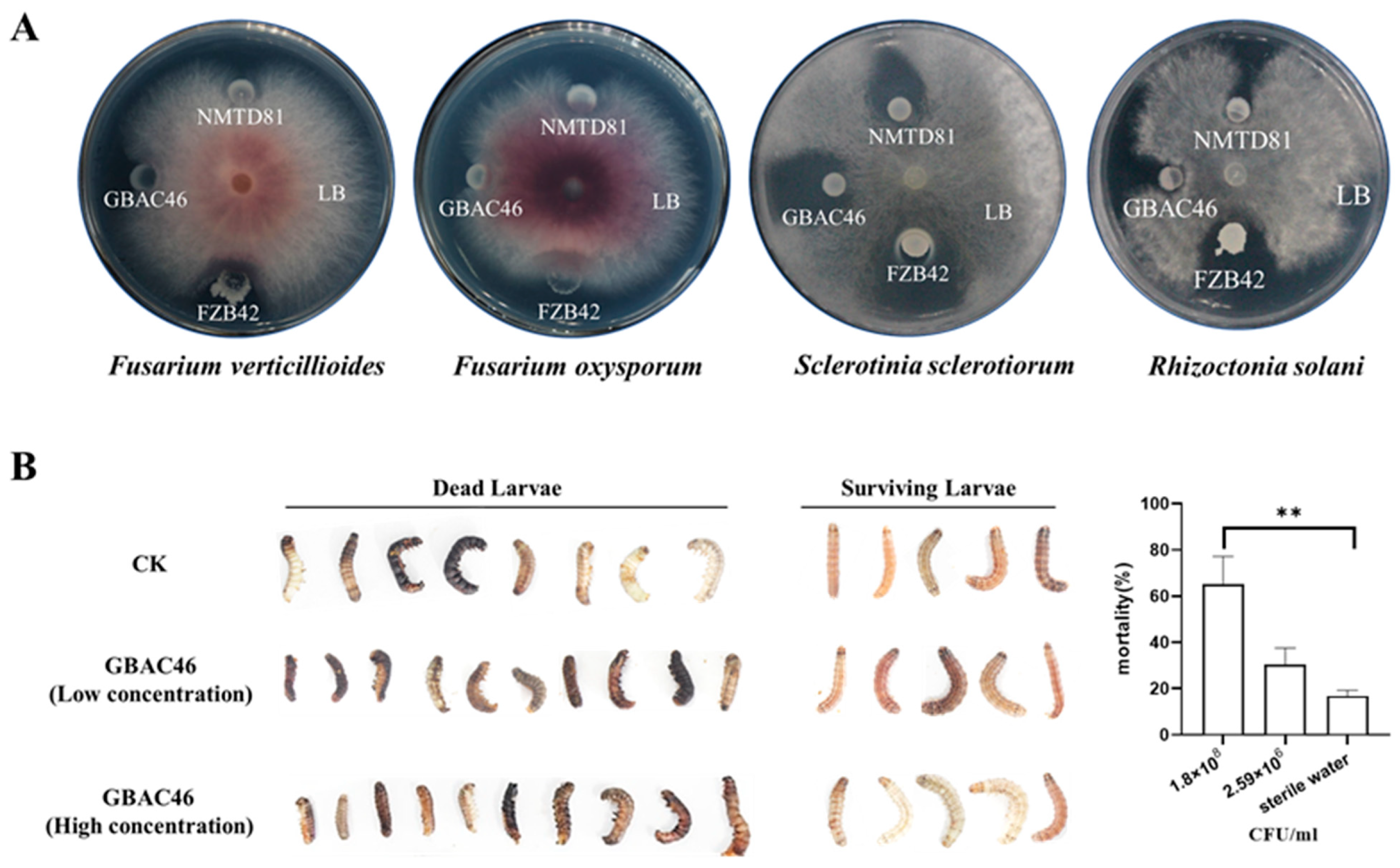 Biomolecules 15 00519 g001