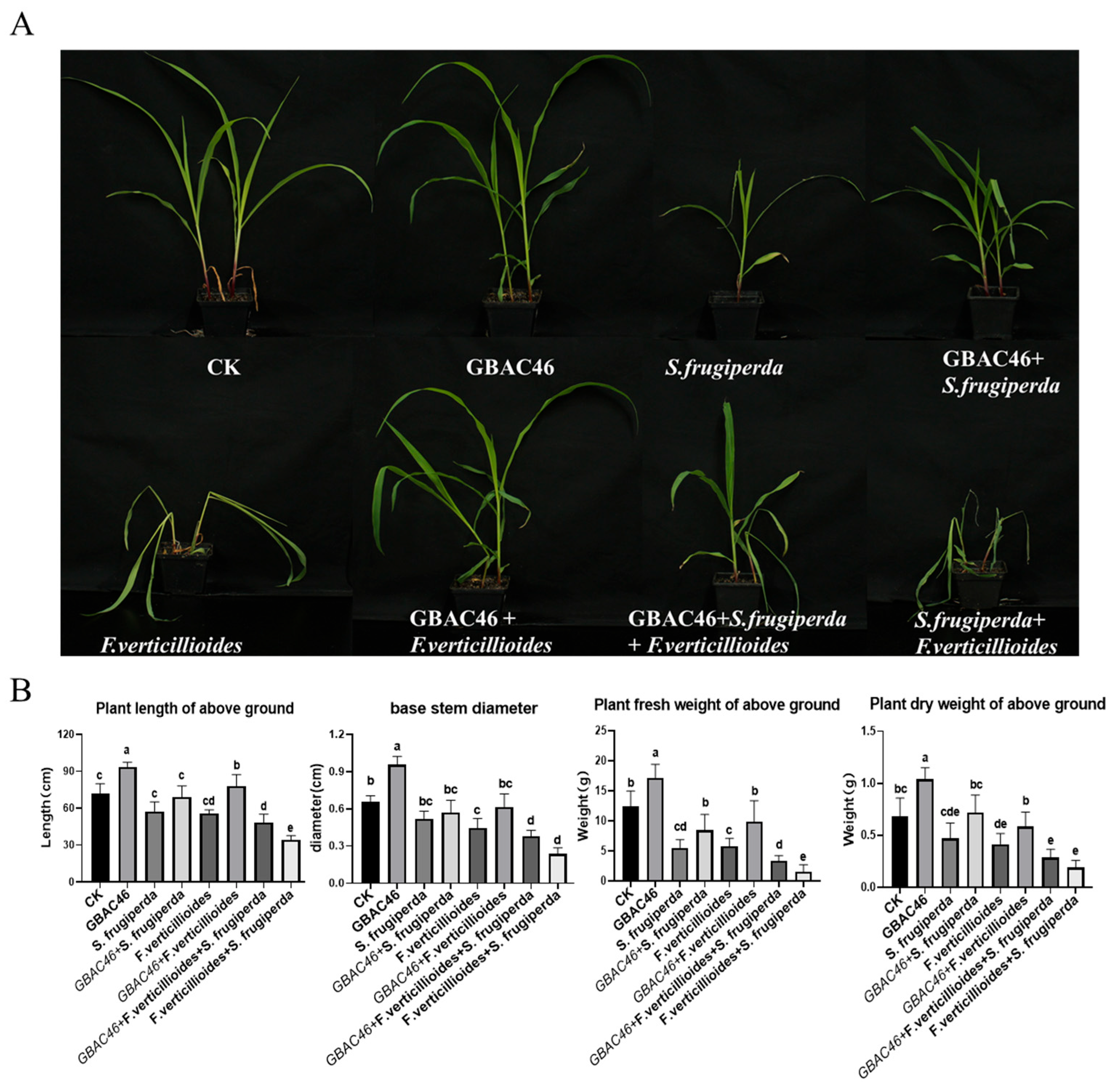 Biomolecules 15 00519 g003