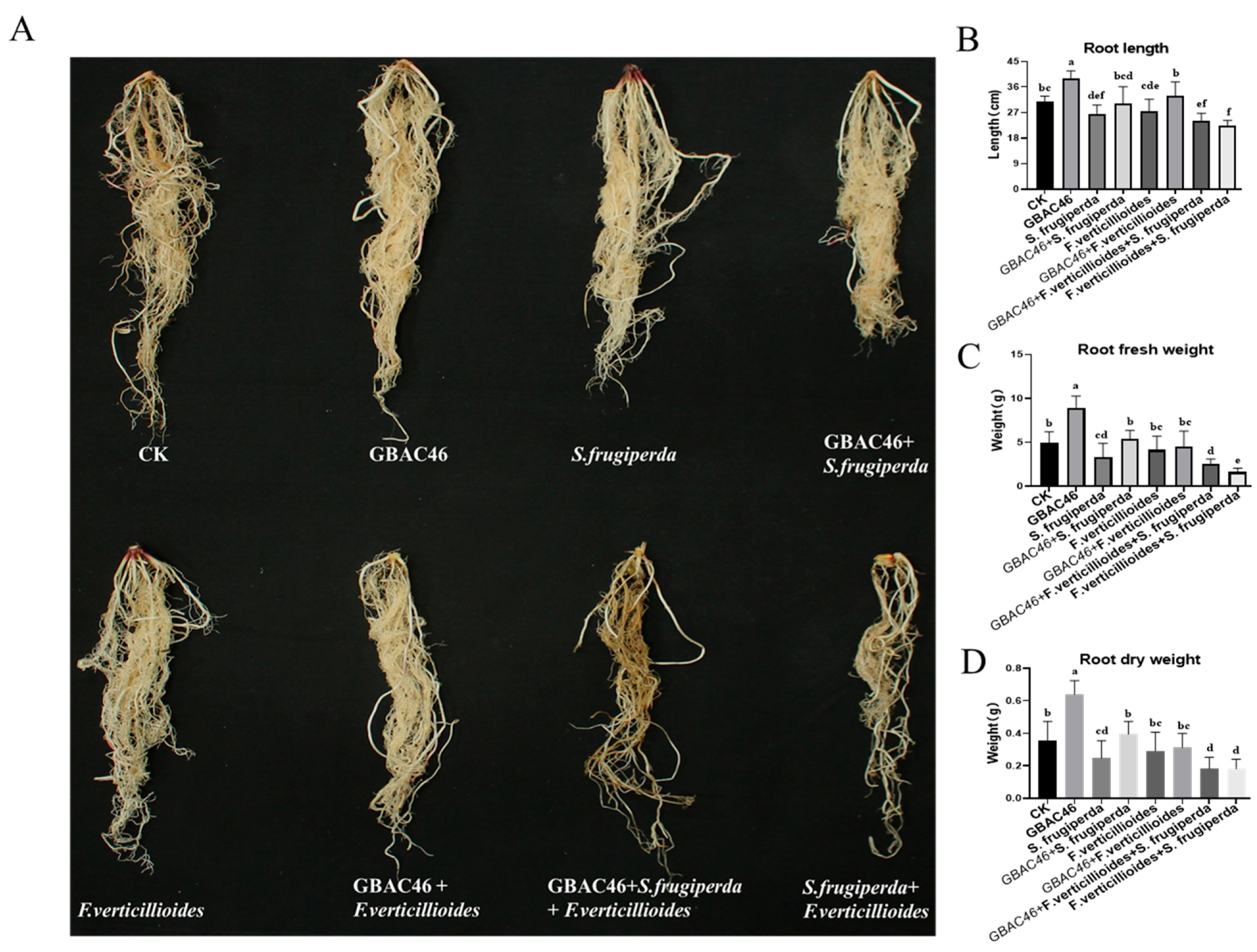 Biomolecules 15 00519 g004