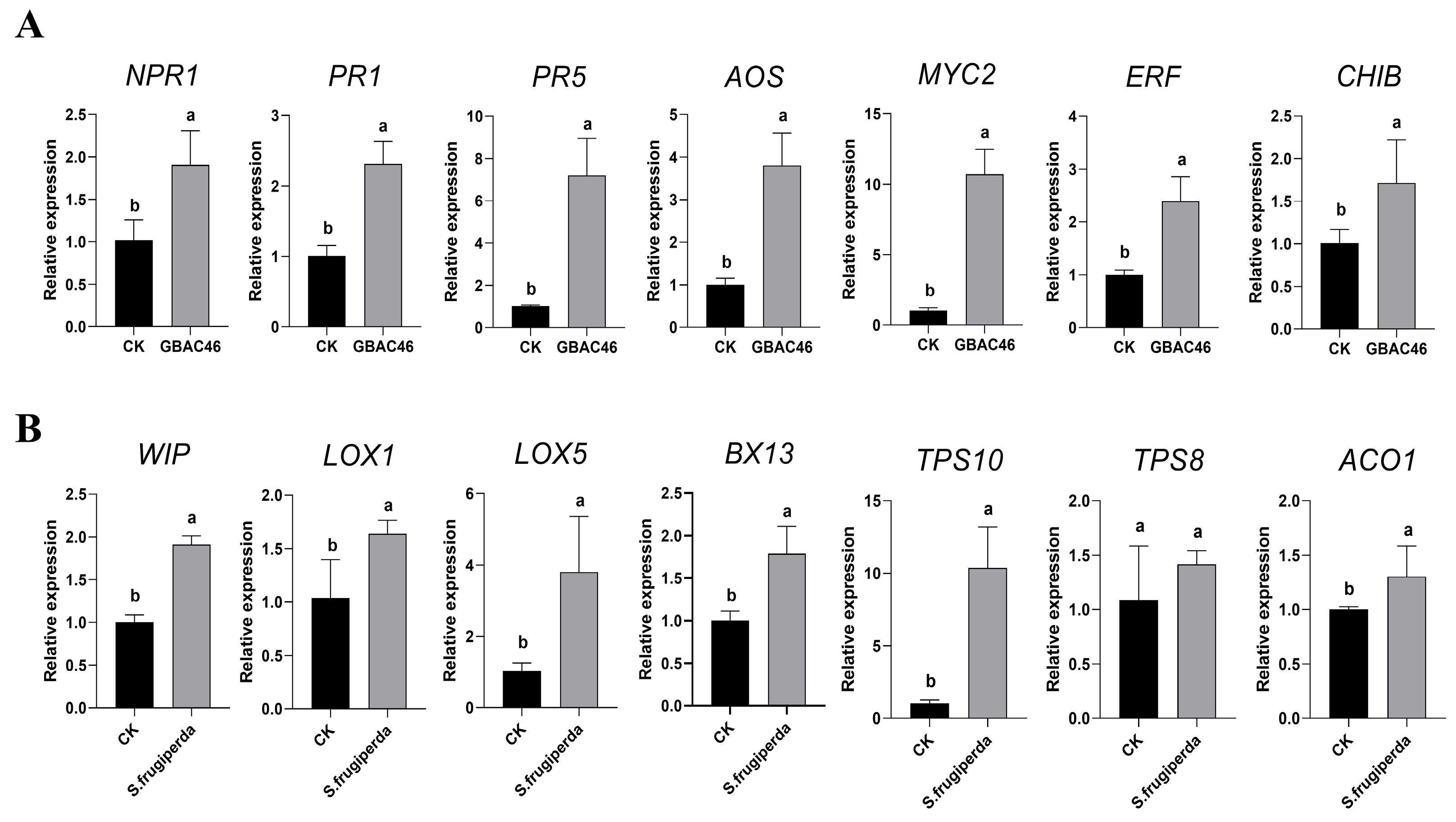 Biomolecules 15 00519 g005