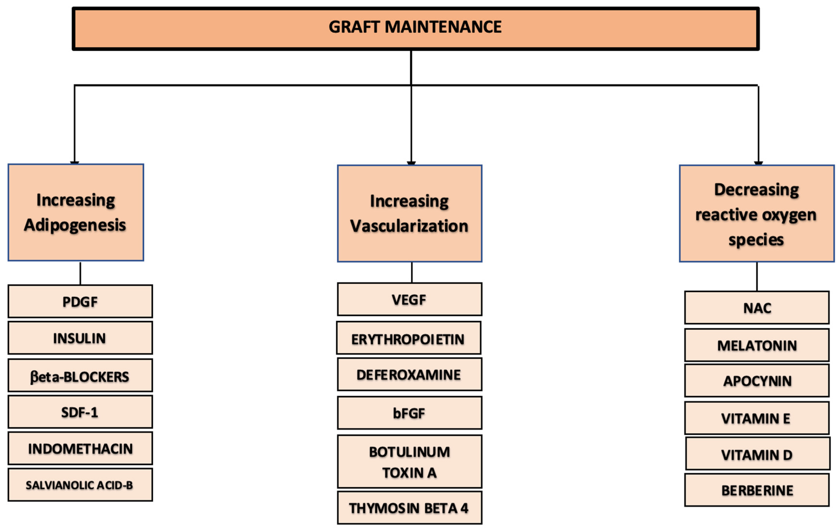 Biomolecules 15 00526 g001