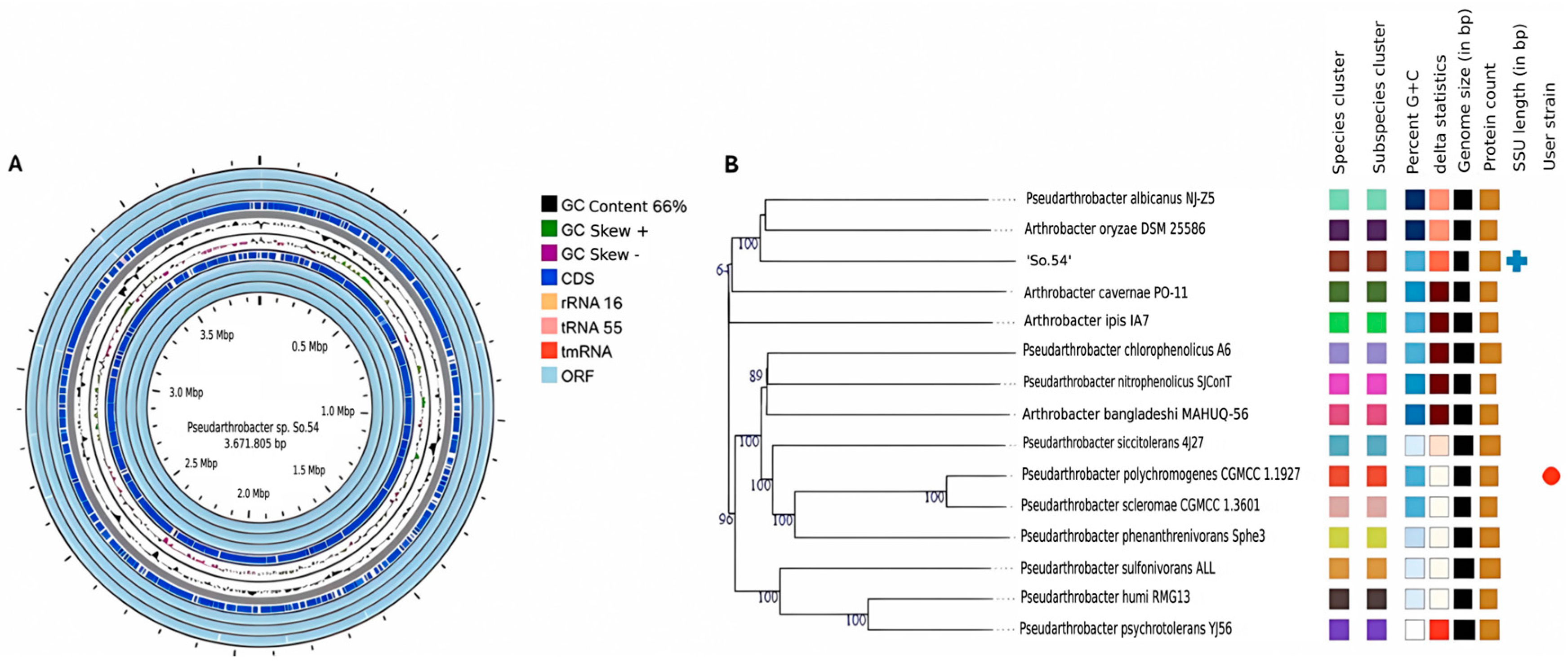 Biomolecules 15 00534 g001
