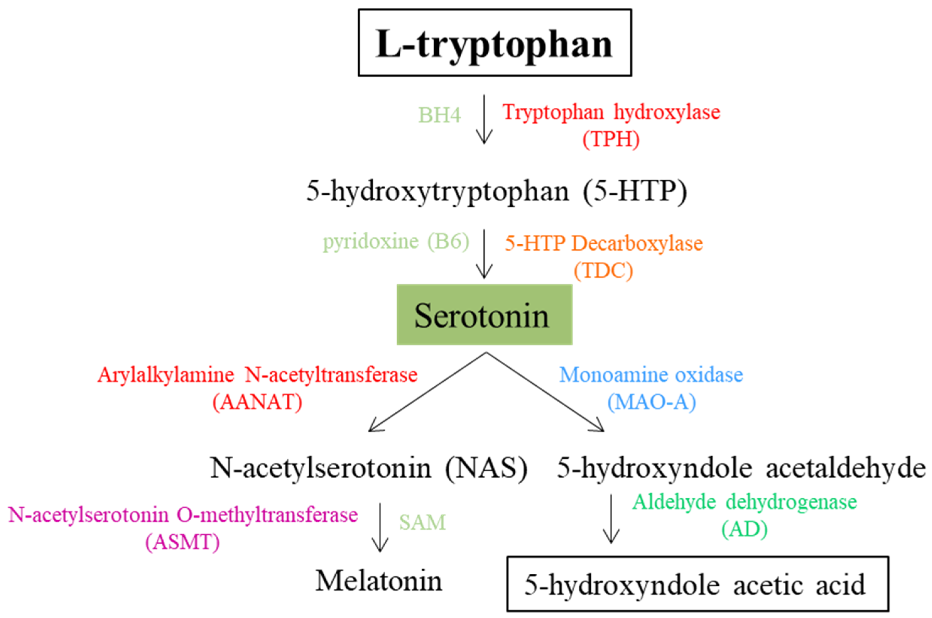 Biomolecules 15 00539 g002