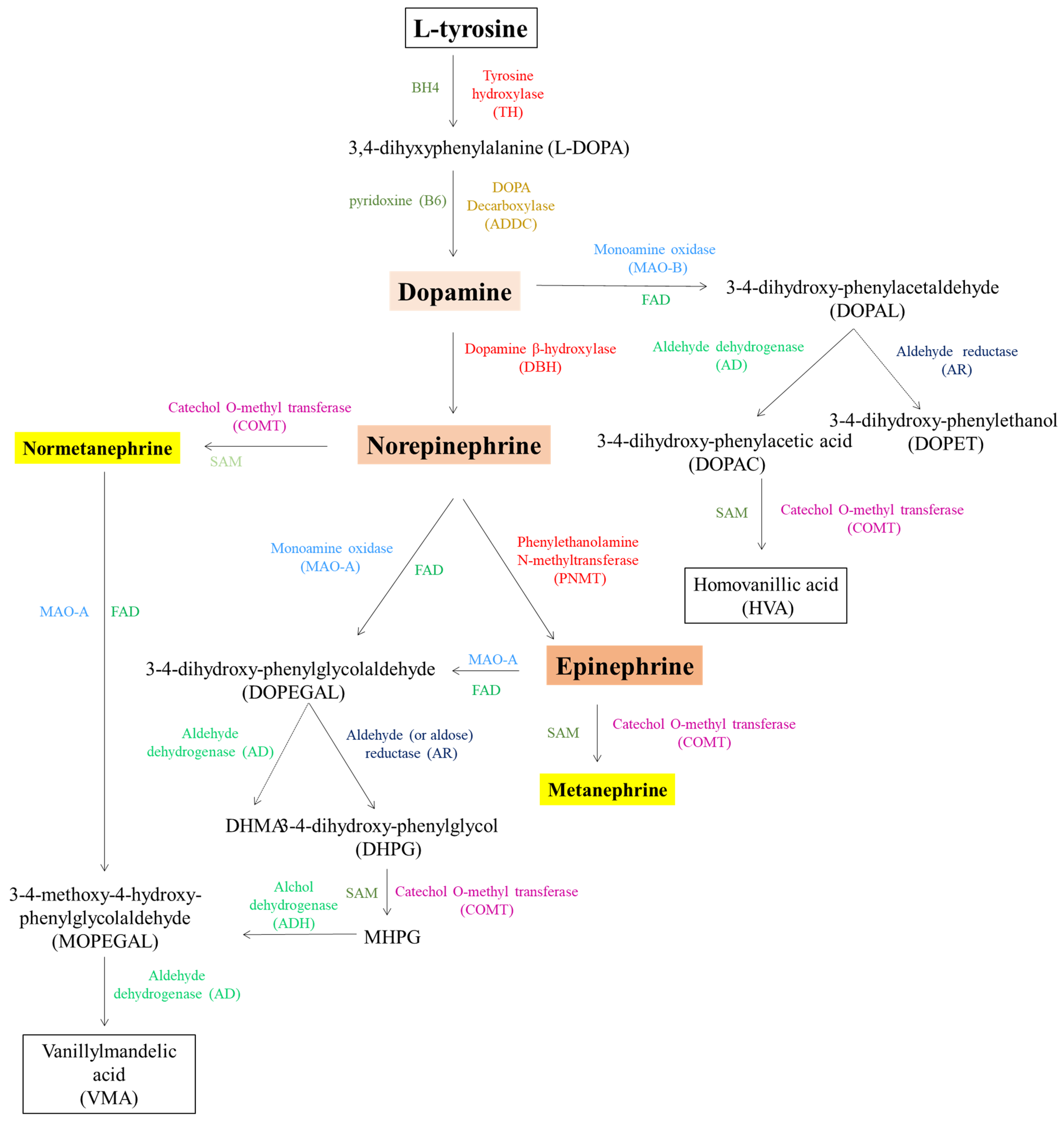 Biomolecules 15 00539 g004