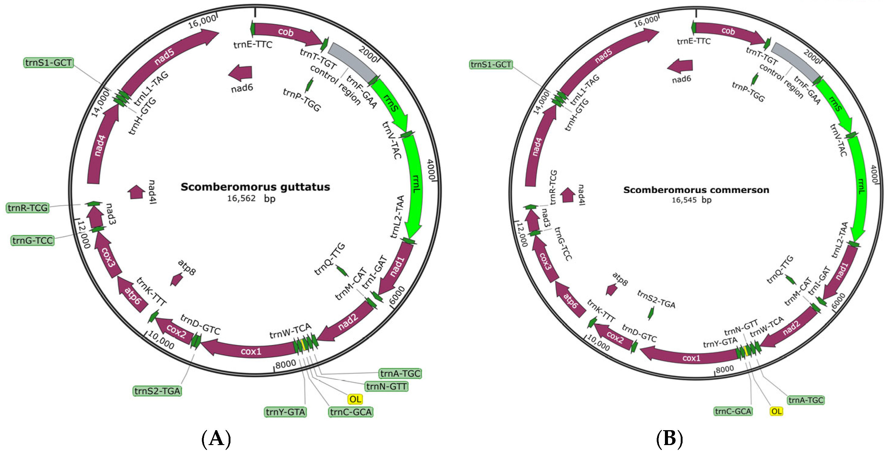 Biomolecules 15 00555 g001