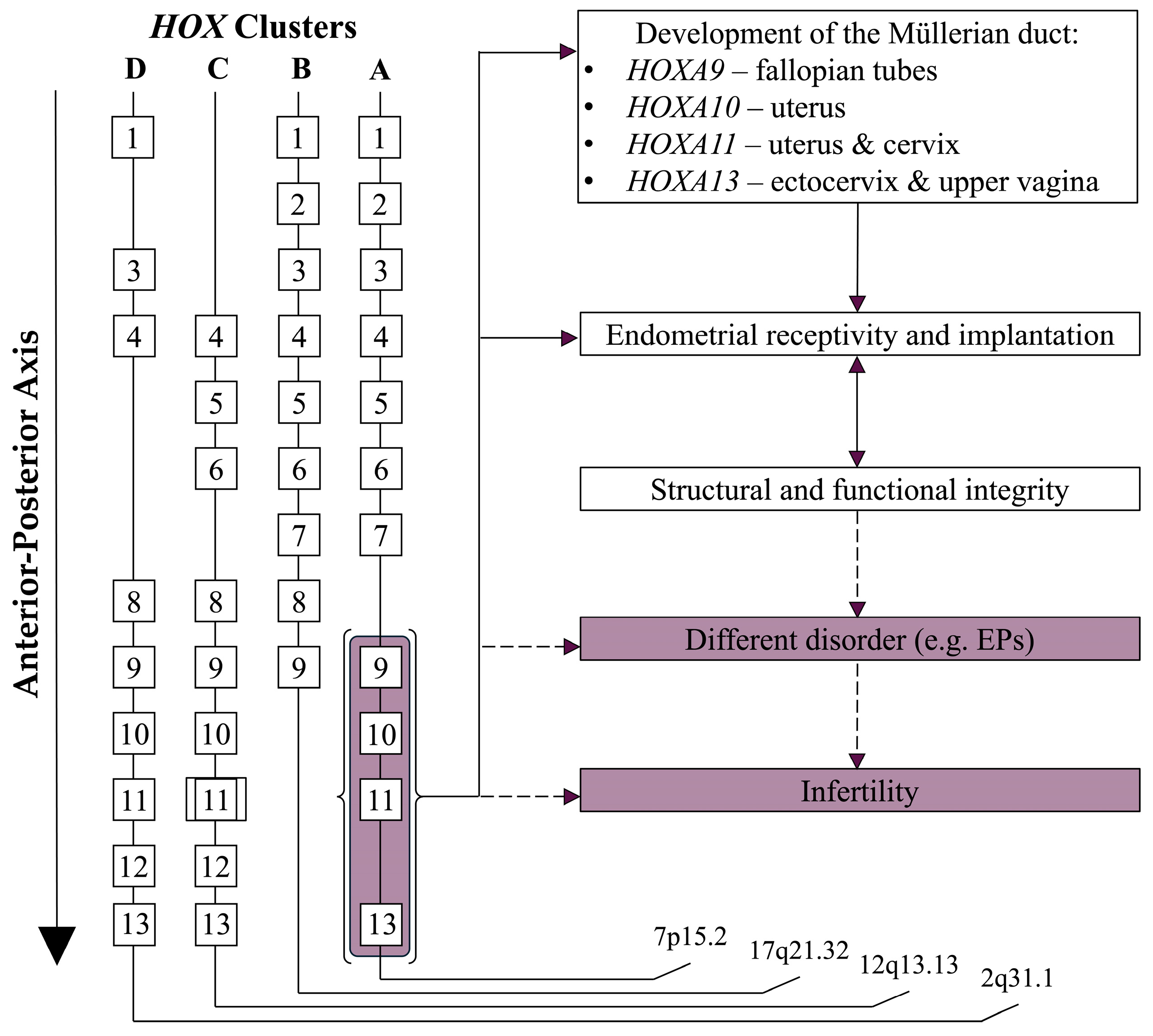 Biomolecules 15 00563 g002