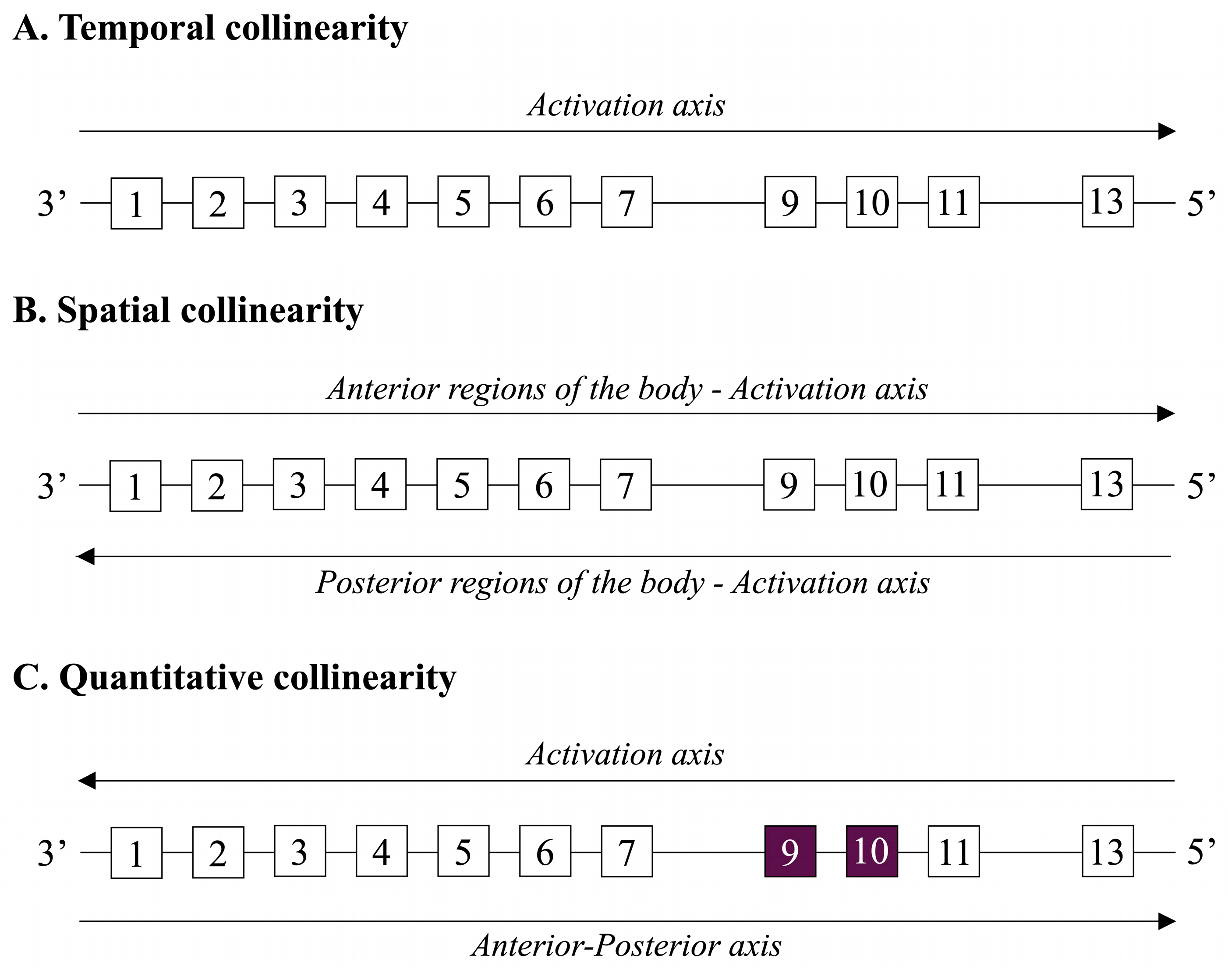 Biomolecules 15 00563 g003