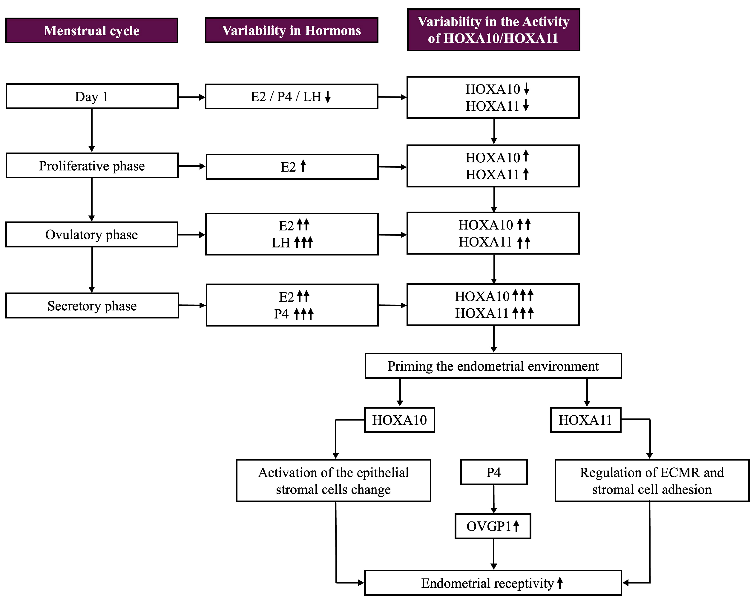 Biomolecules 15 00563 g004