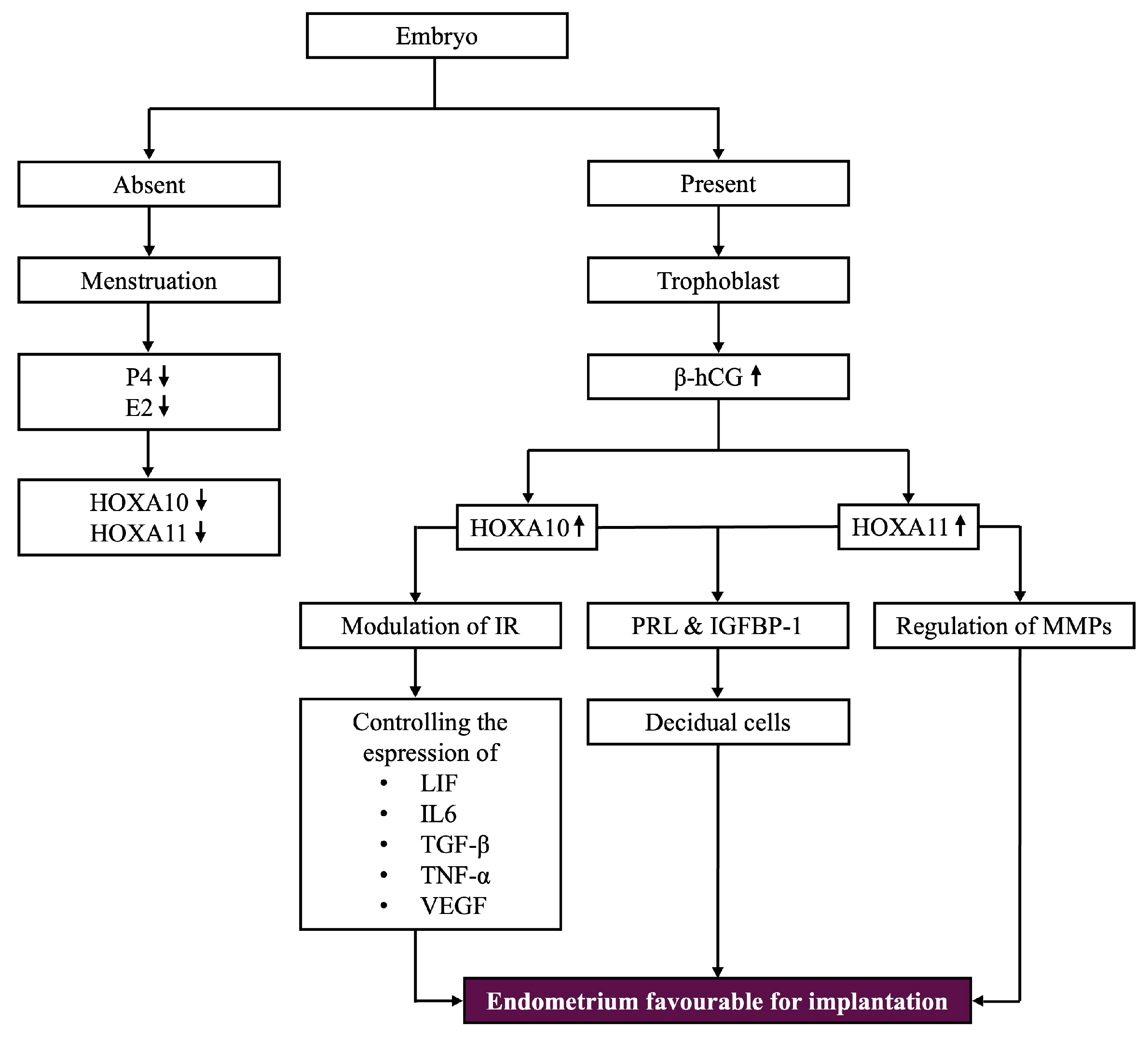 Biomolecules 15 00563 g005