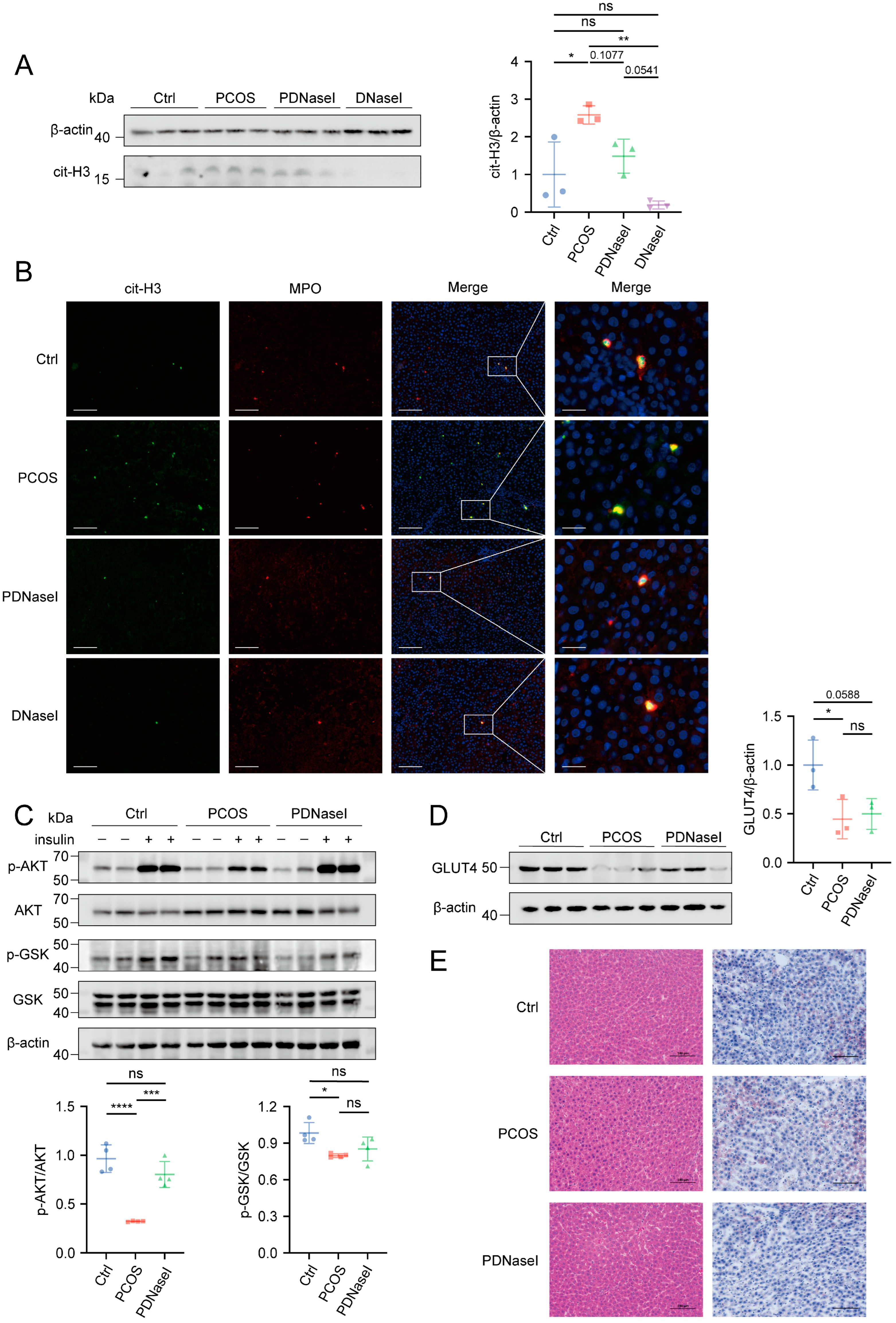 Biomolecules 15 00572 g003