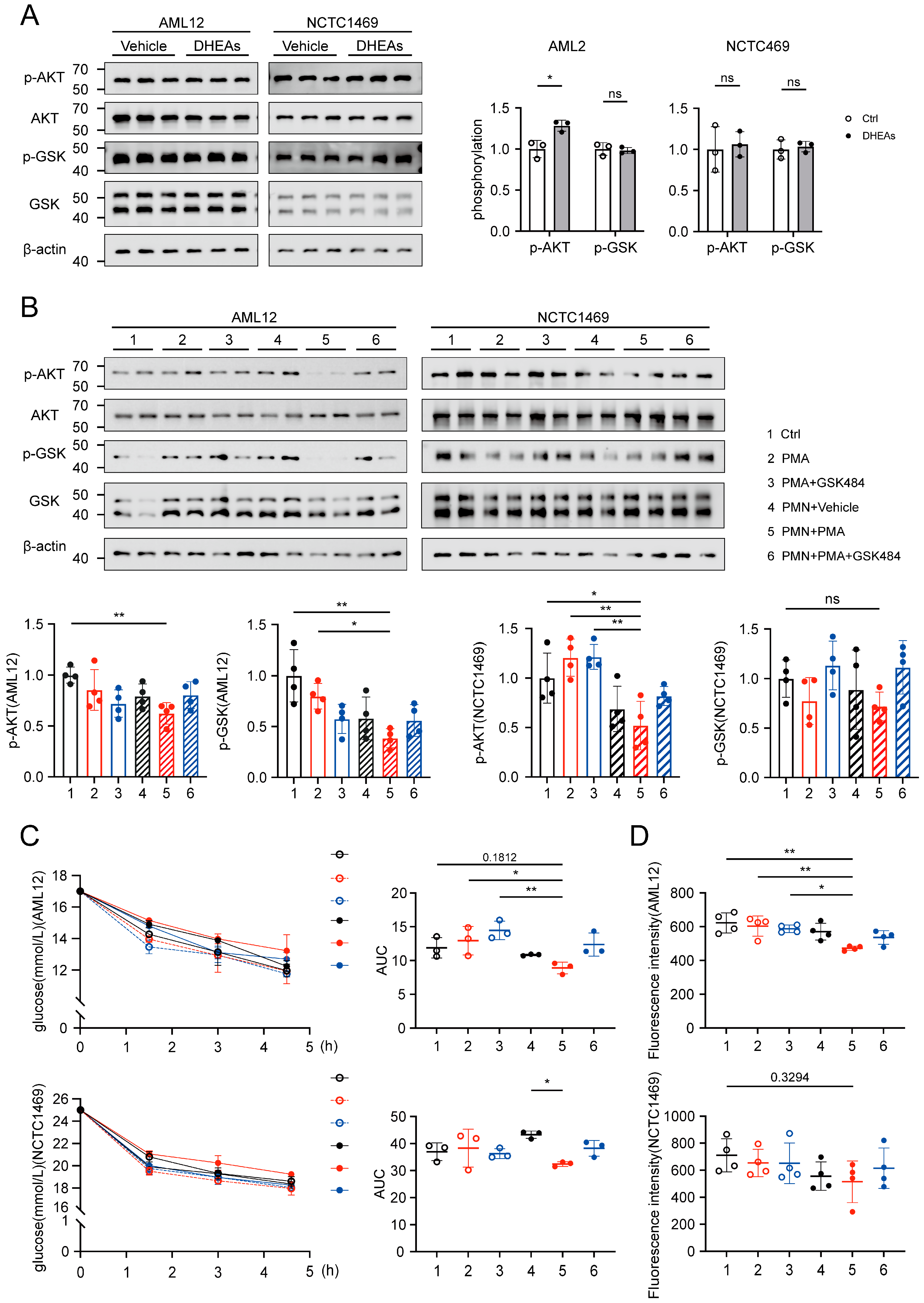 Biomolecules 15 00572 g005