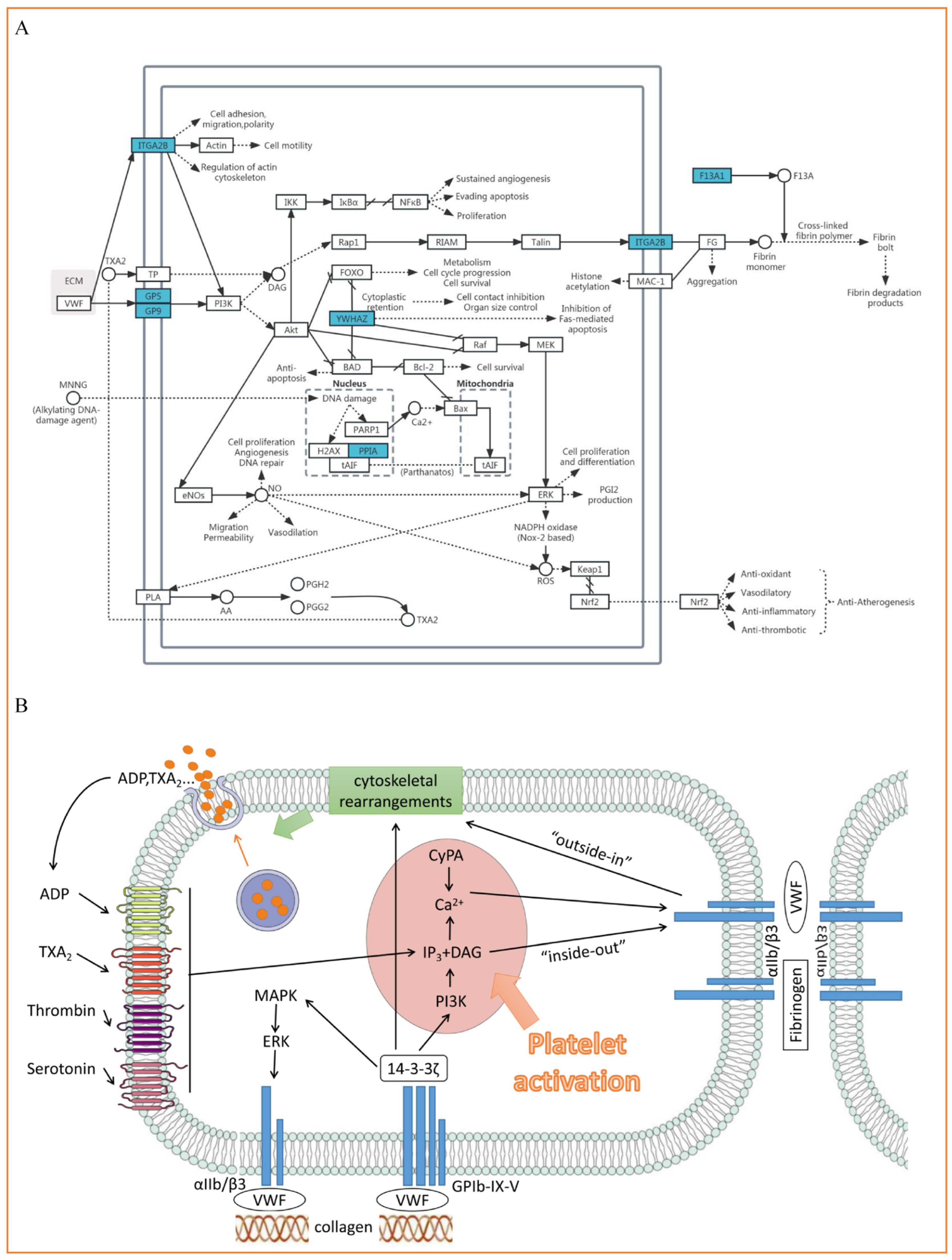Biomolecules 15 00583 g005