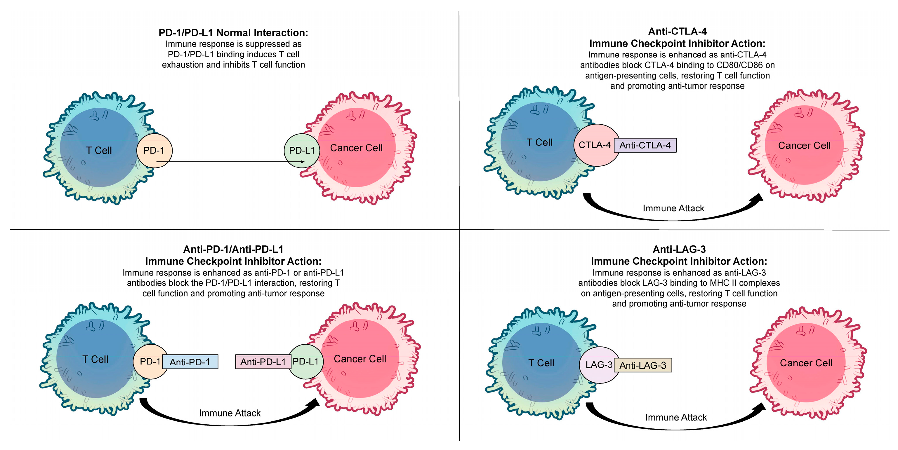 Biomolecules 15 00589 g001
