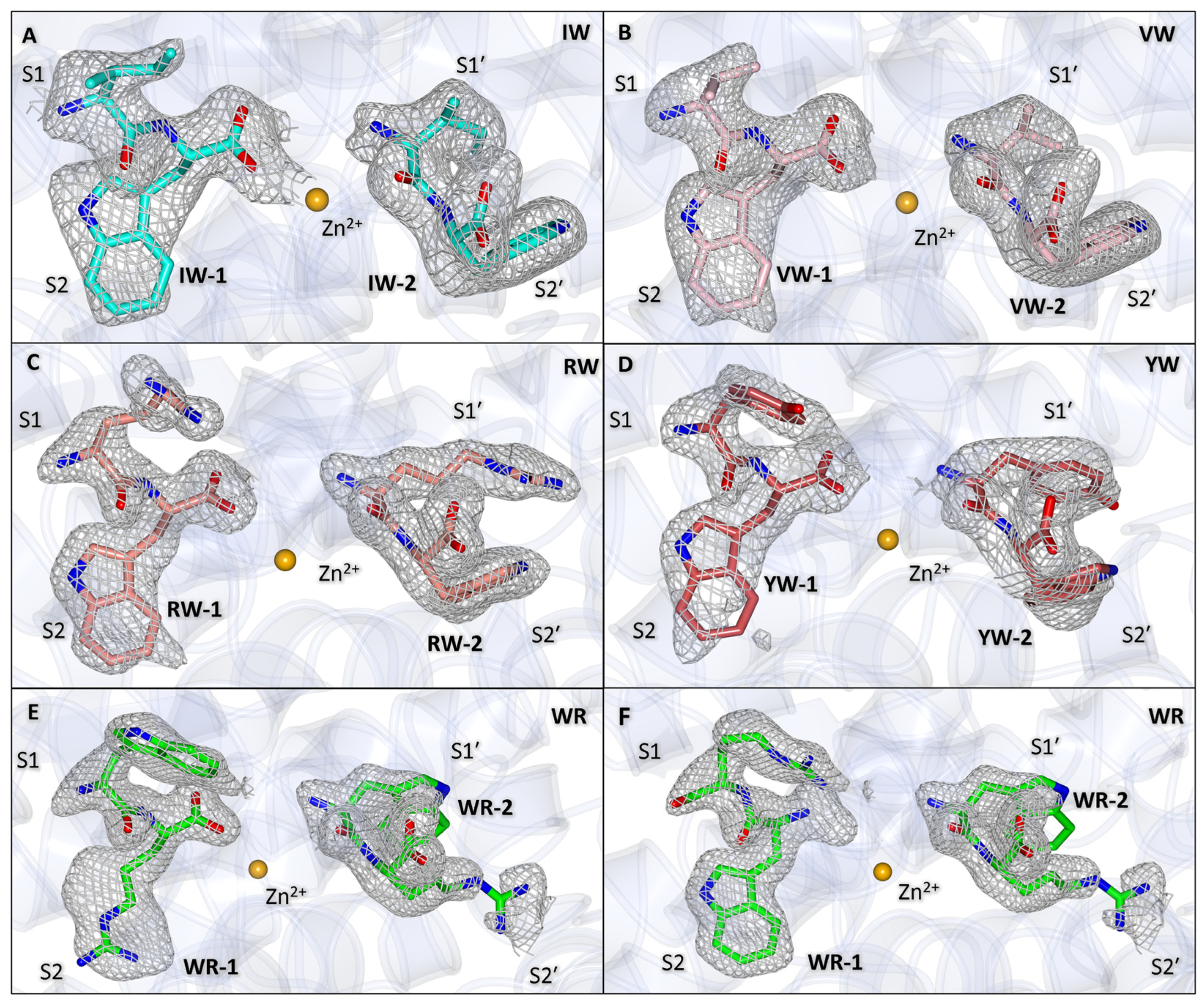 Biomolecules 15 00591 g002