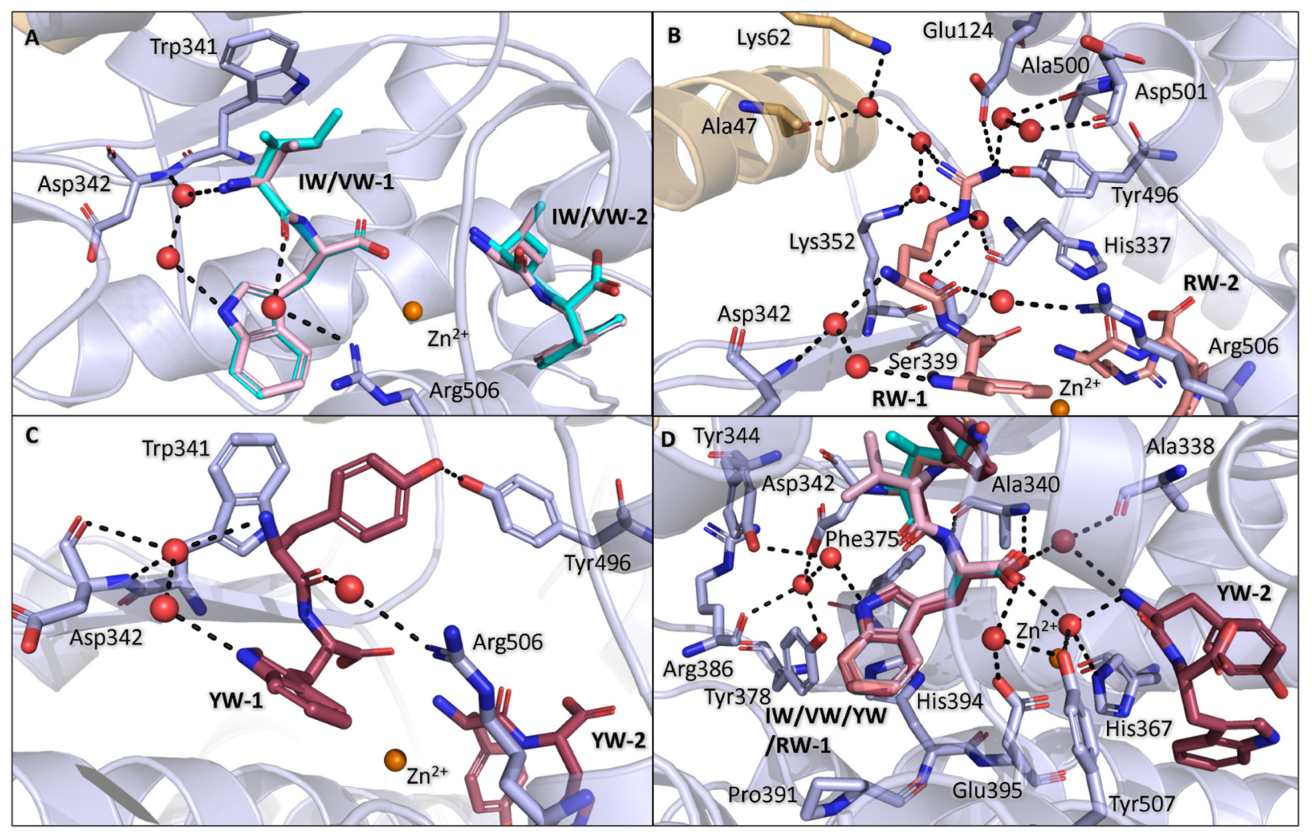 Biomolecules 15 00591 g003