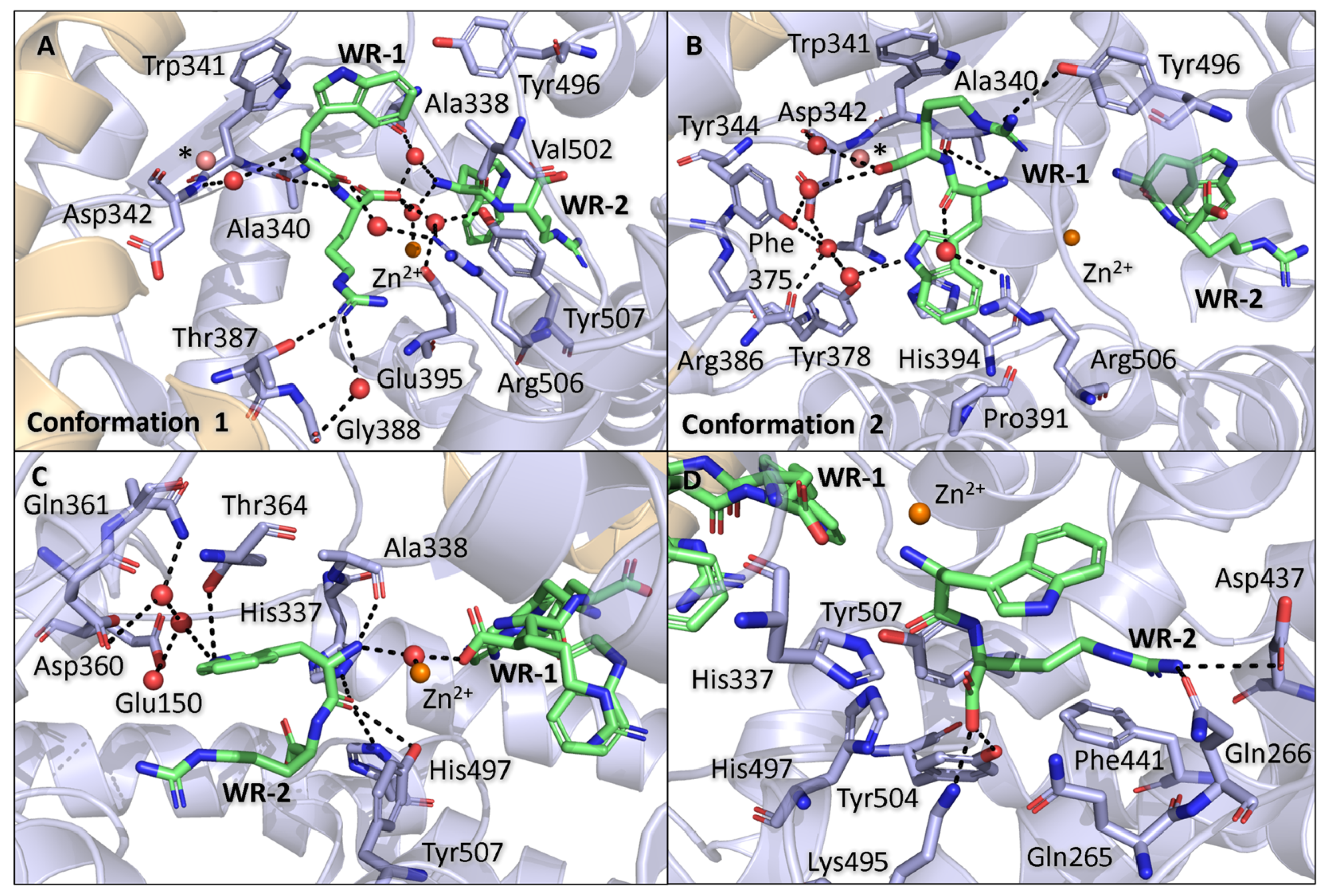 Biomolecules 15 00591 g005