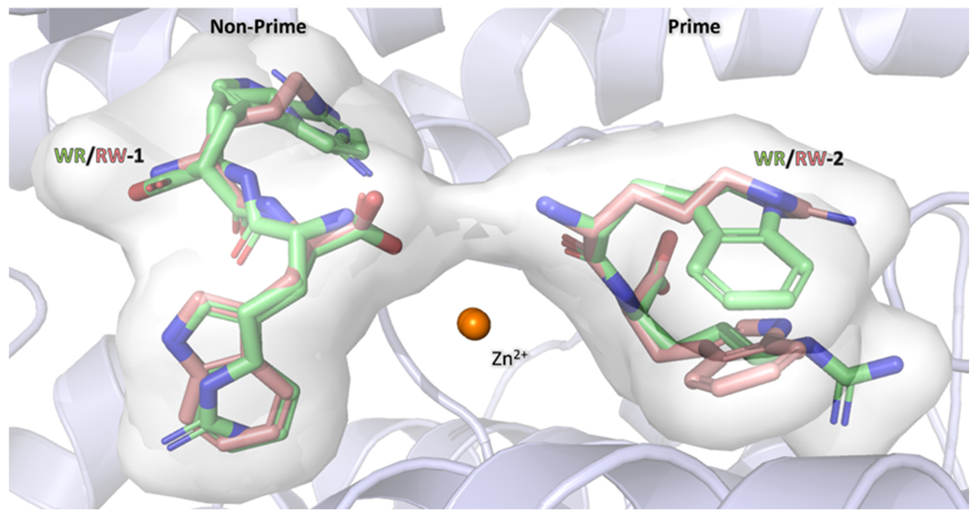 Biomolecules 15 00591 g006