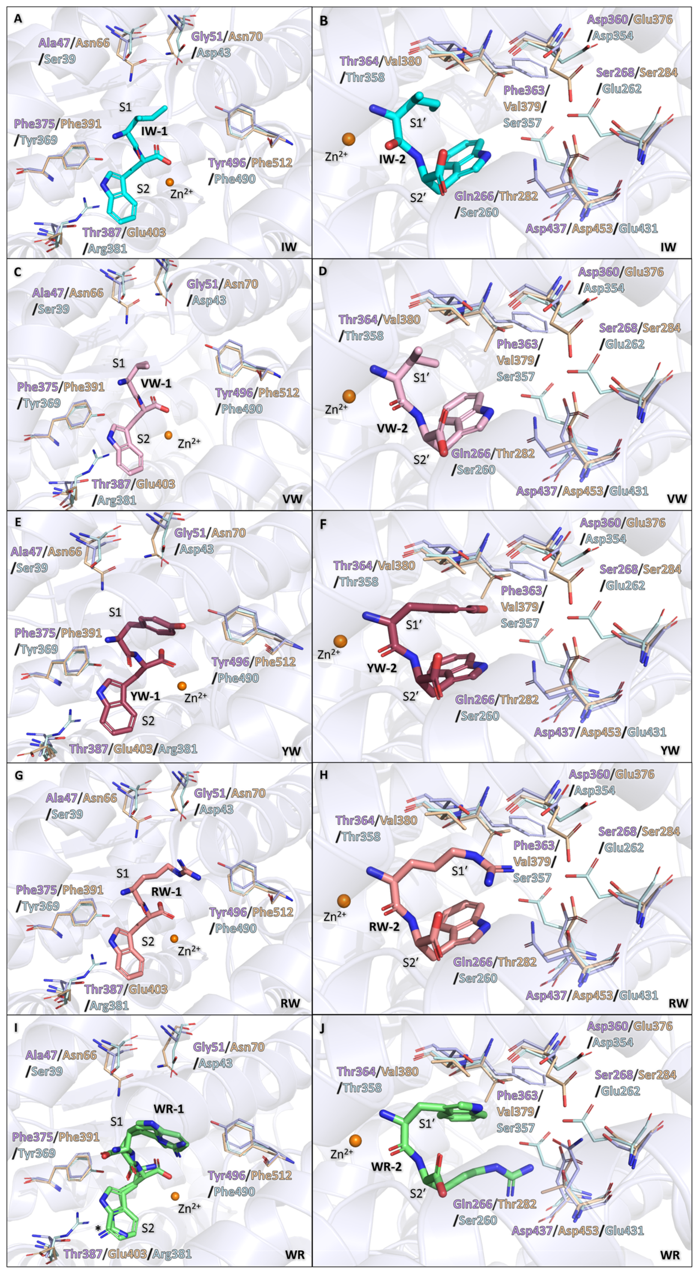 Biomolecules 15 00591 g007