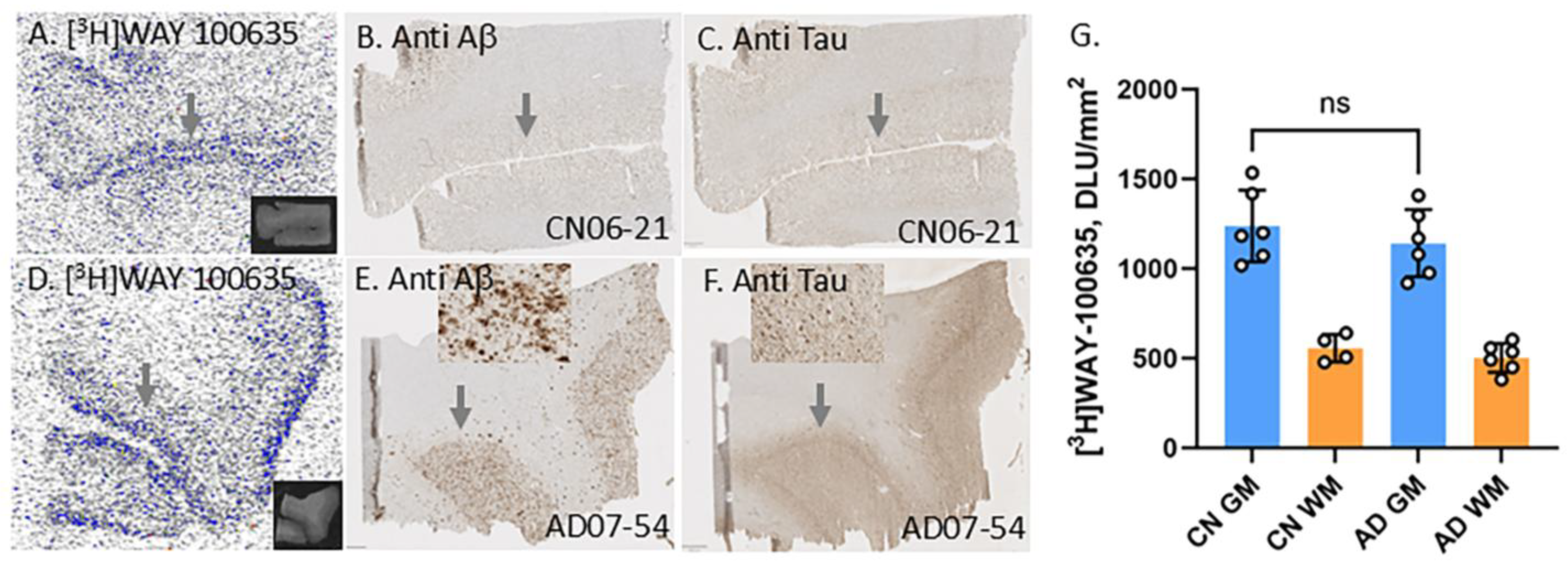 Biomolecules 15 00592 g003