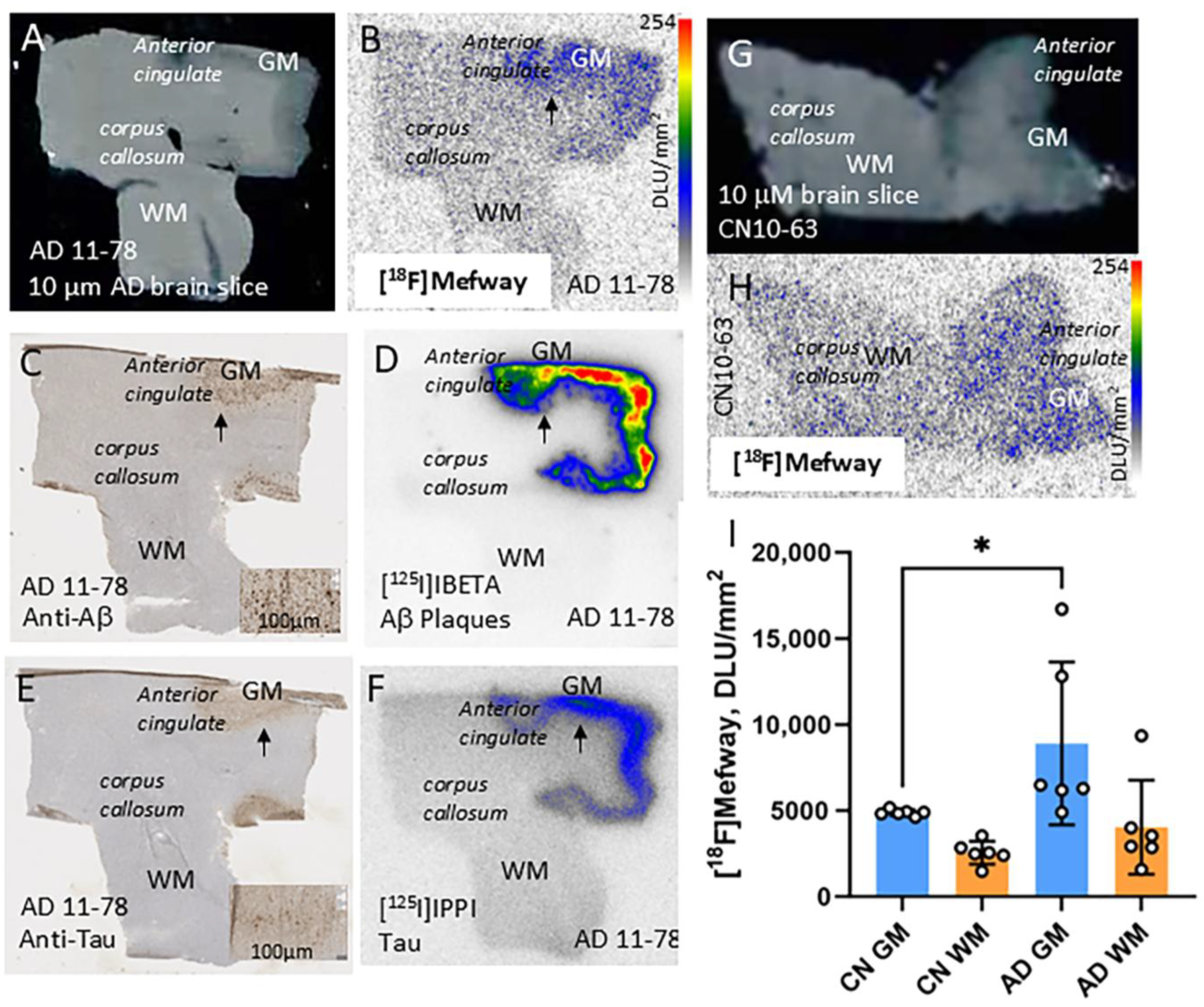 Biomolecules 15 00592 g004