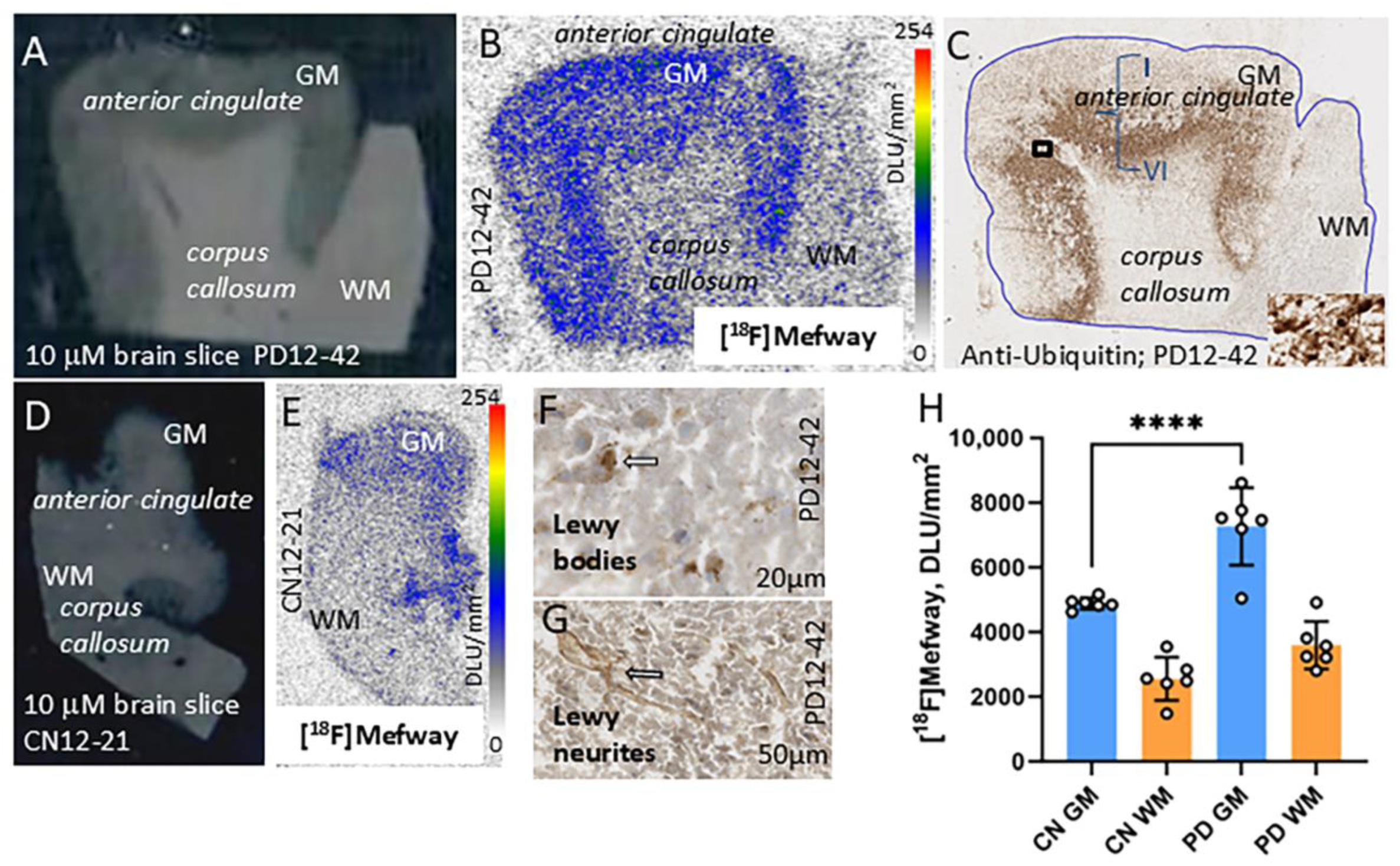 Biomolecules 15 00592 g005