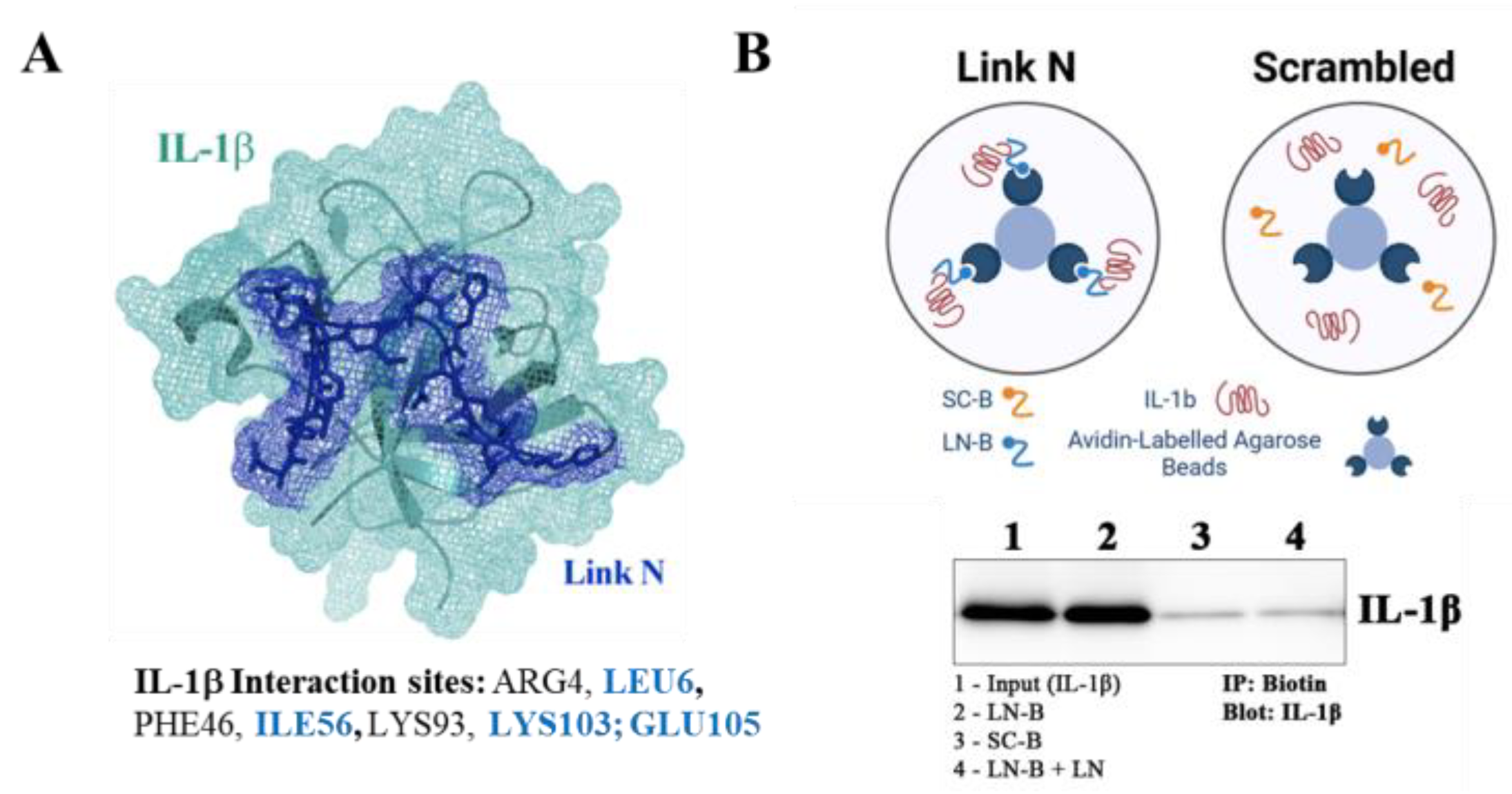 Biomolecules 15 00603 g004