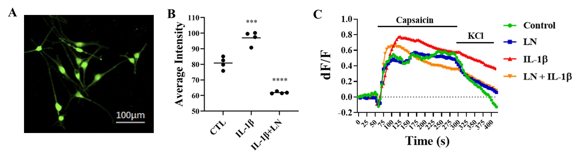 Biomolecules 15 00603 g006