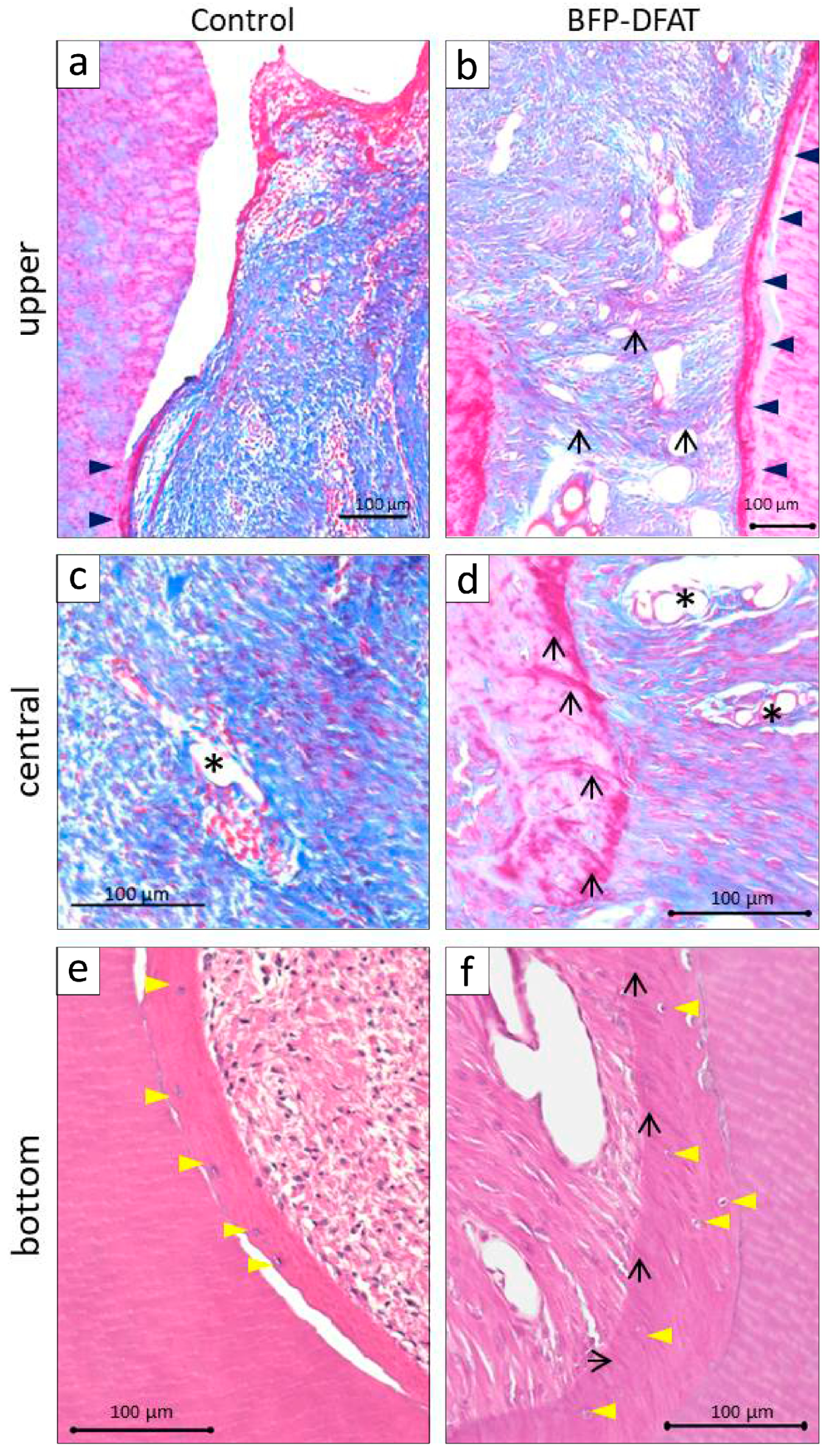 Biomolecules 15 00604 g006