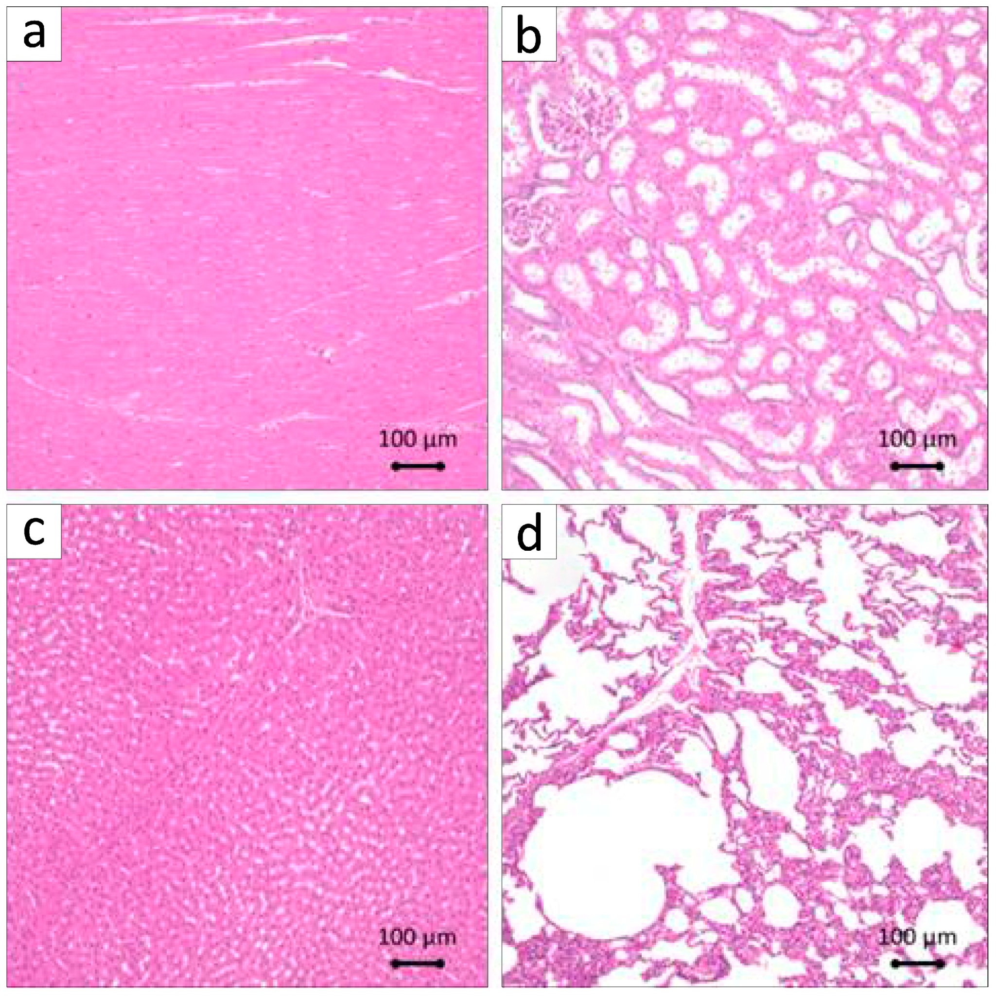 Biomolecules 15 00604 g009