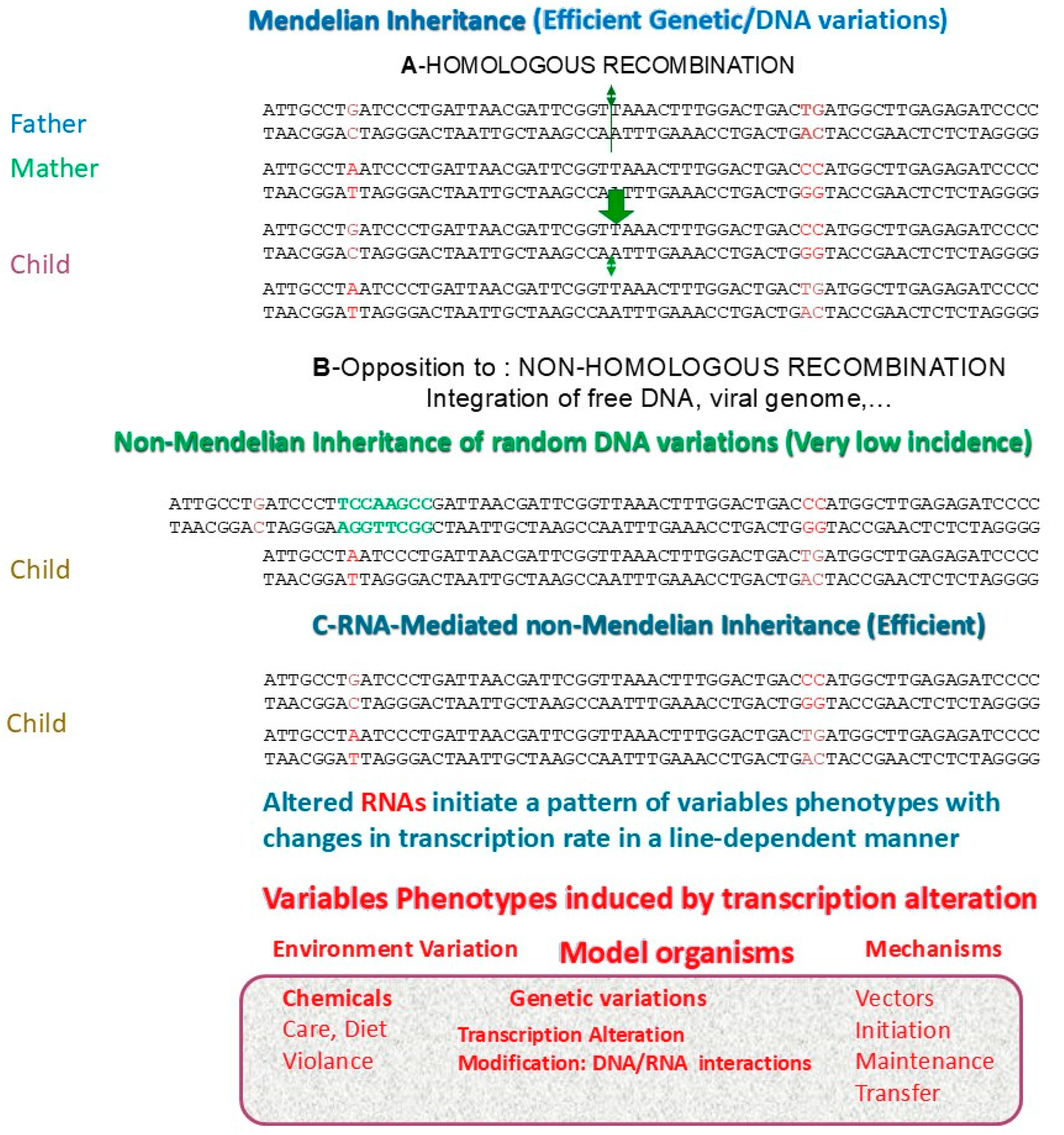 Biomolecules 15 00605 g001