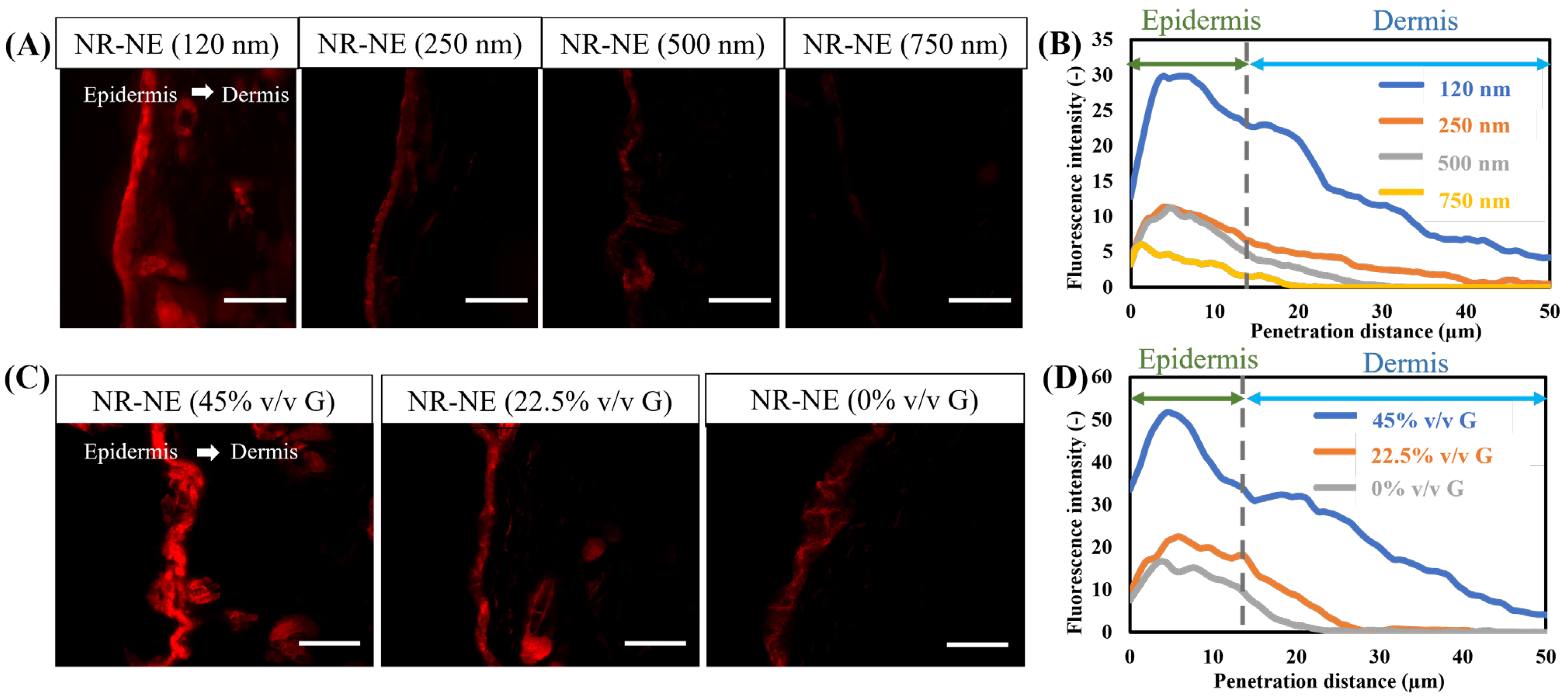 Biomolecules 15 00608 g005 Biomolecules 15 00608 g005