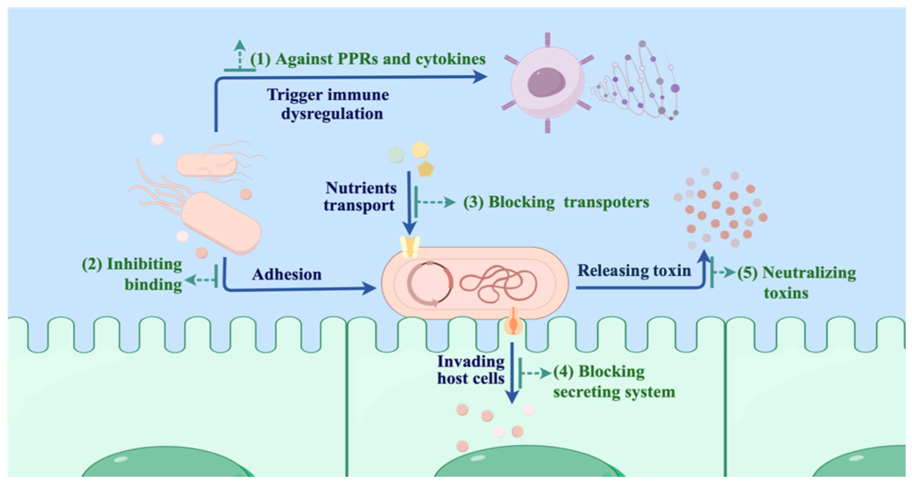 Biomolecules 15 00610 g003