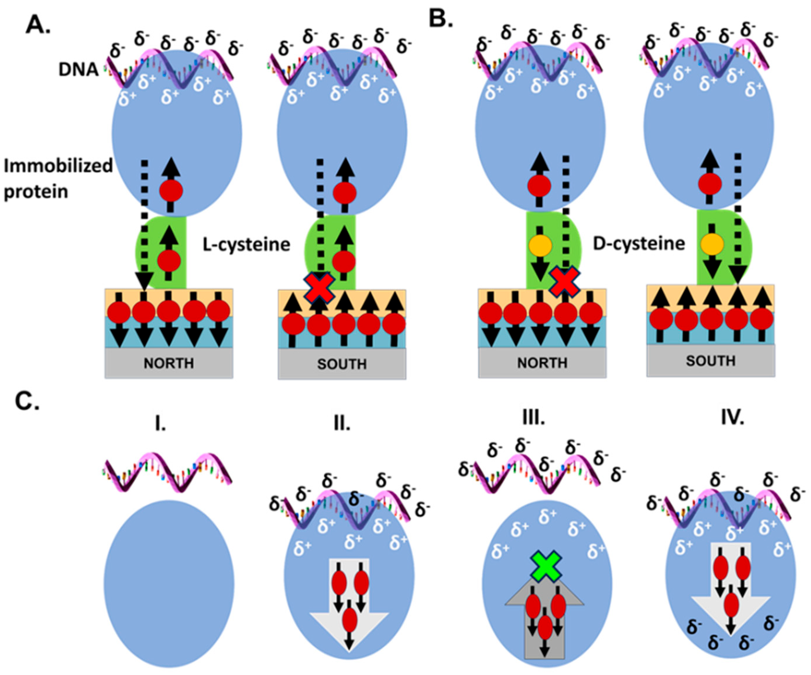 Biomolecules 15 00830 g003