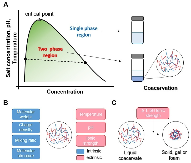 Biomolecules 15 00861 g002