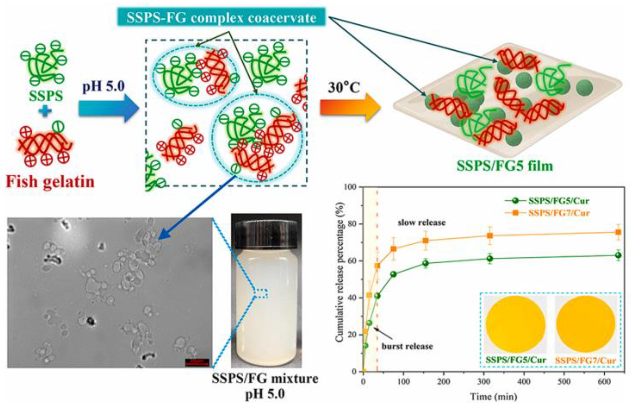 Biomolecules 15 00861 g006