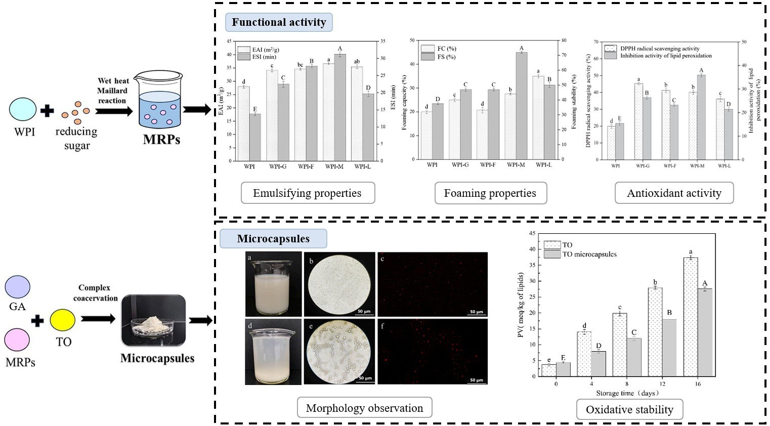 Biomolecules 15 00861 g007